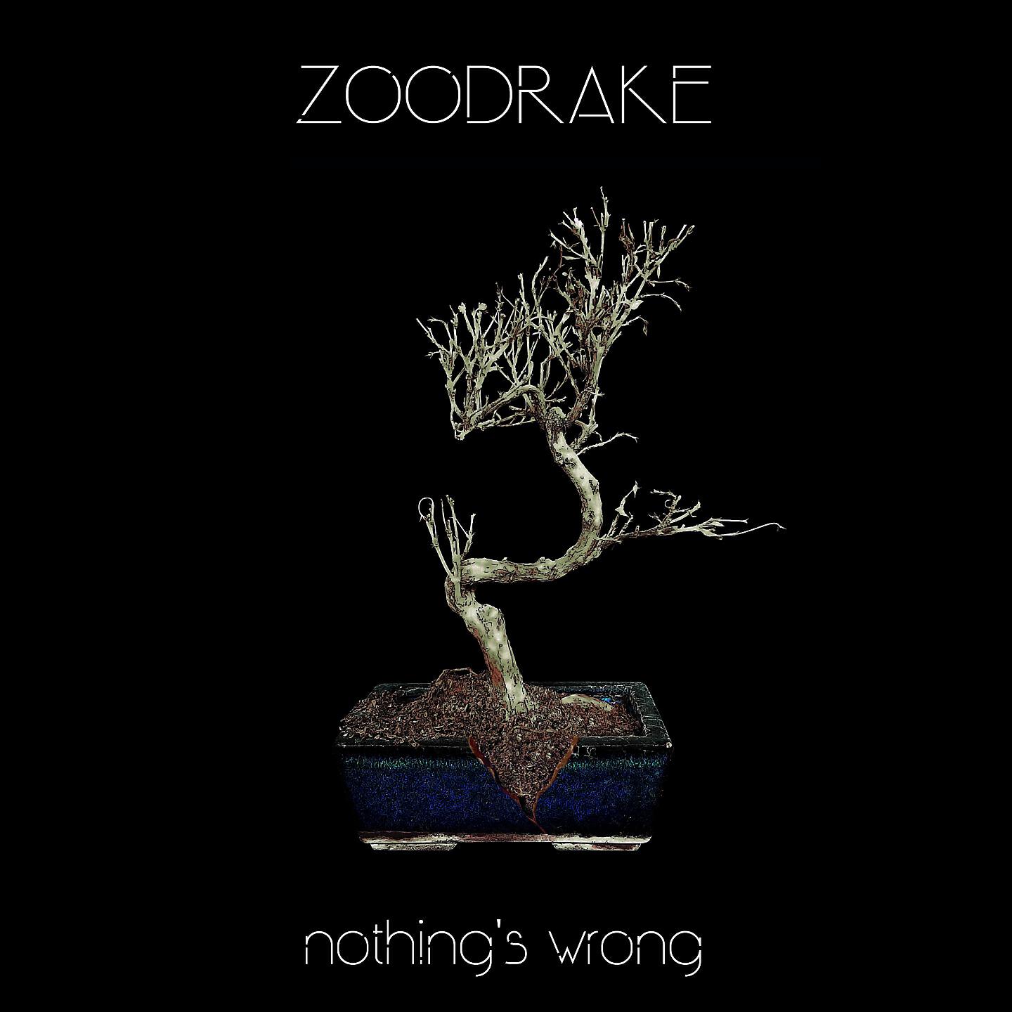 Релиз Nothing's Wrong