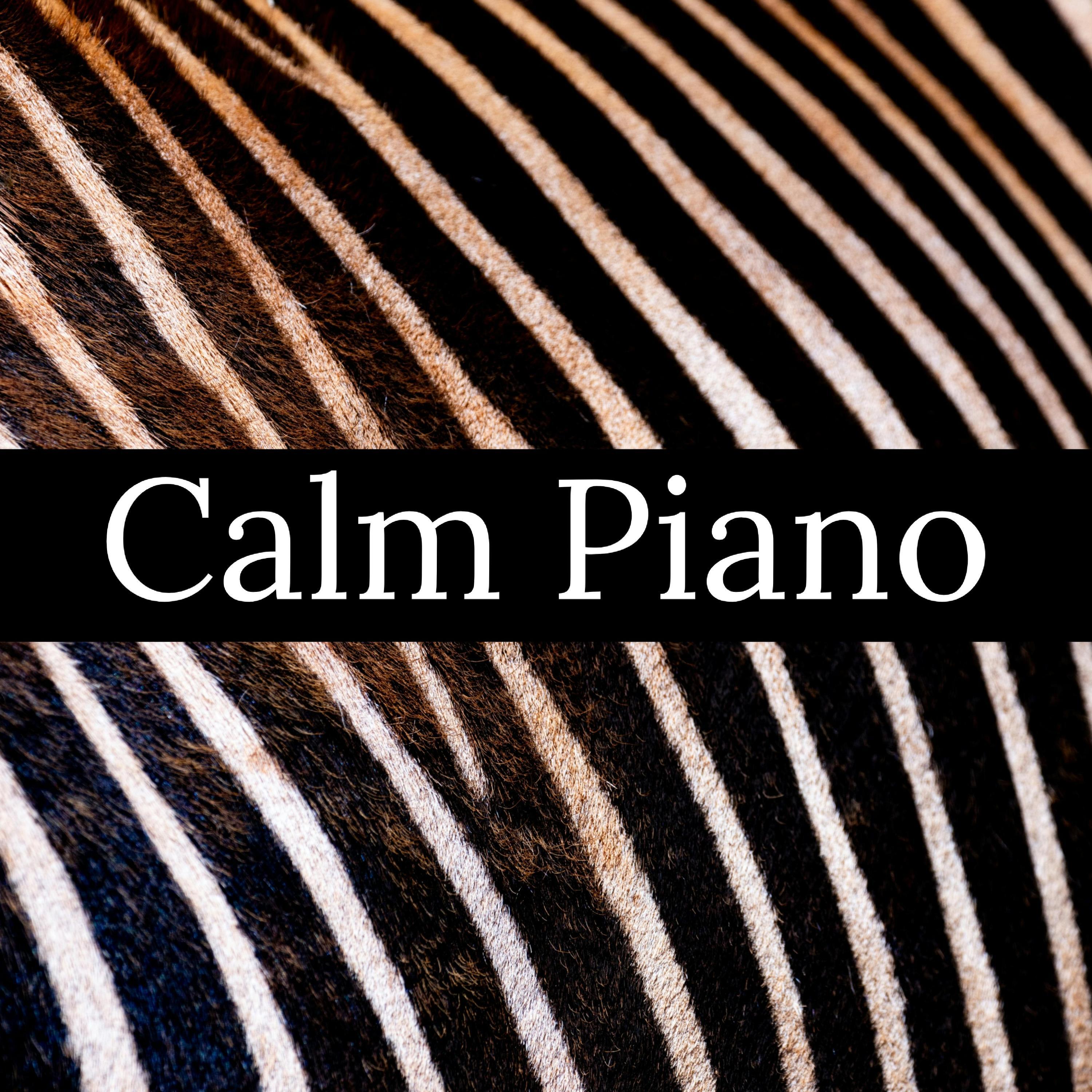 Релиз Calm Piano