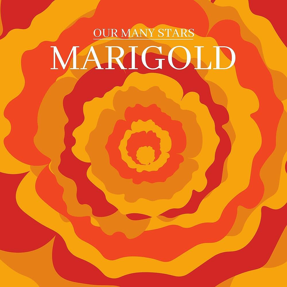 Релиз Marigold