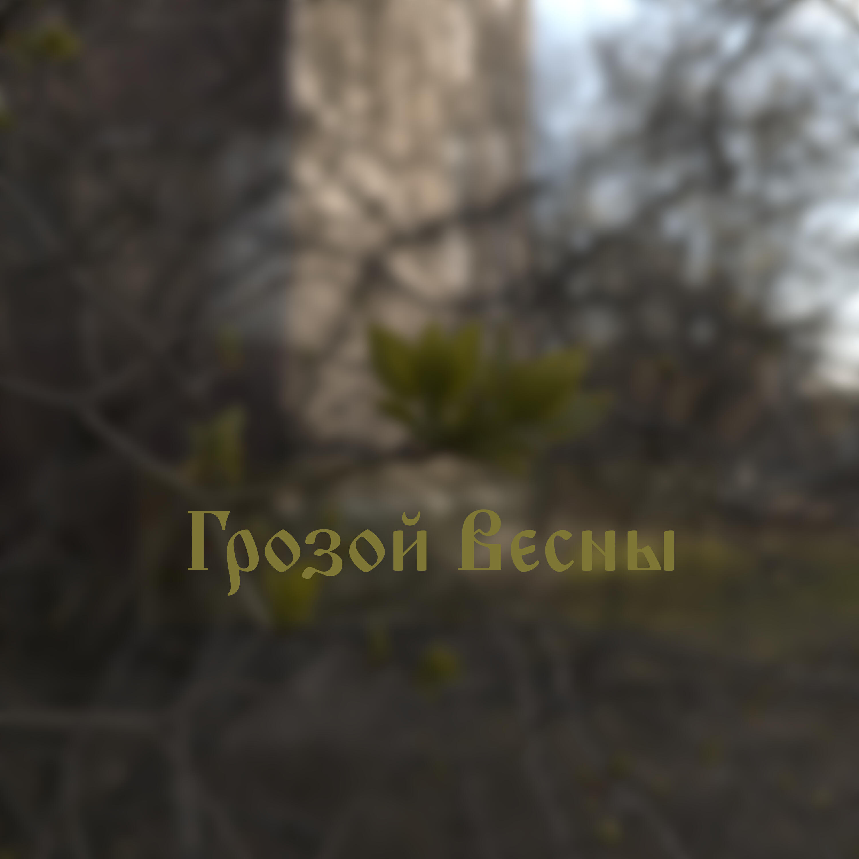 Релиз Грозой Весны