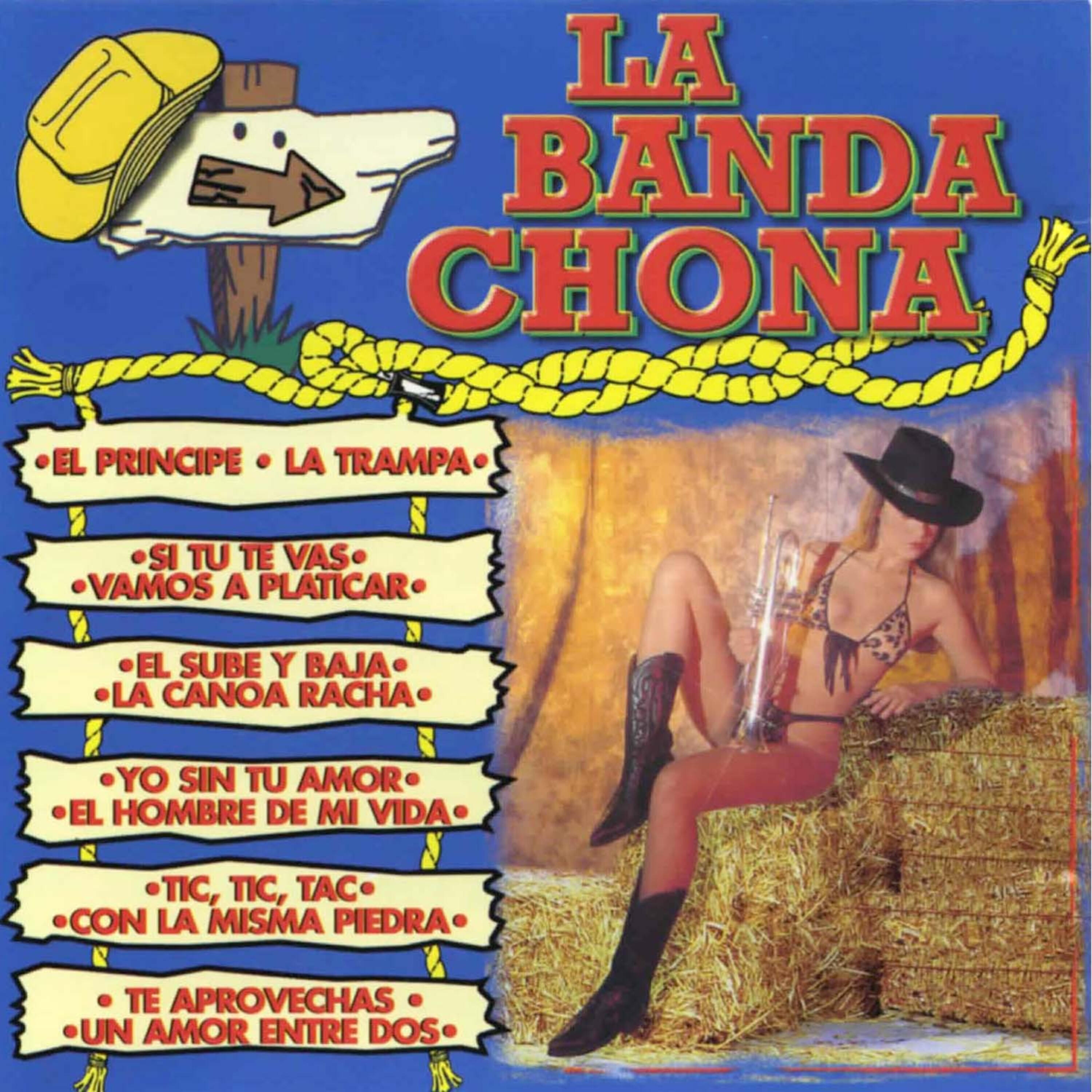 Релиз 12 Exitos Padrisimos