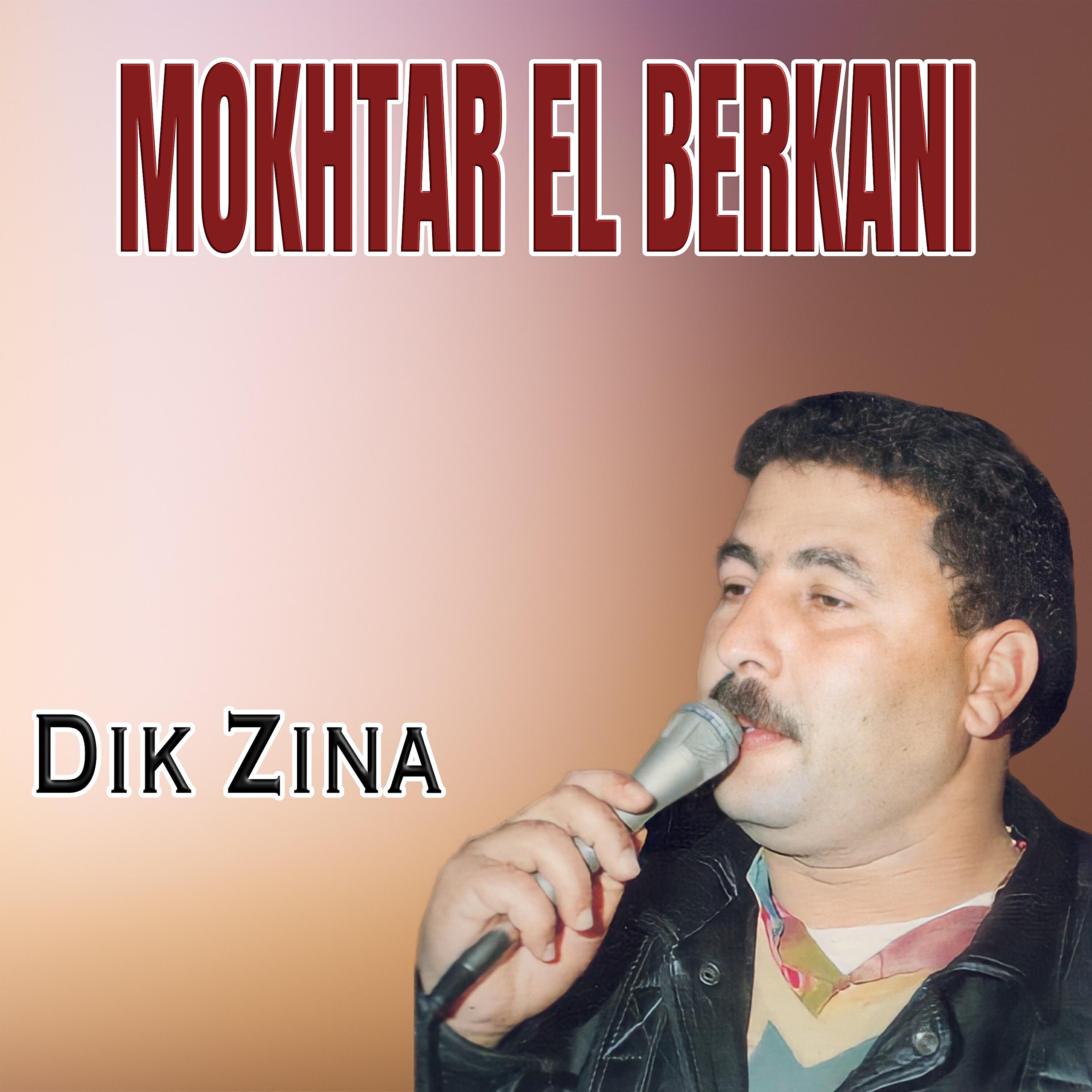 Релиз Dik Zina