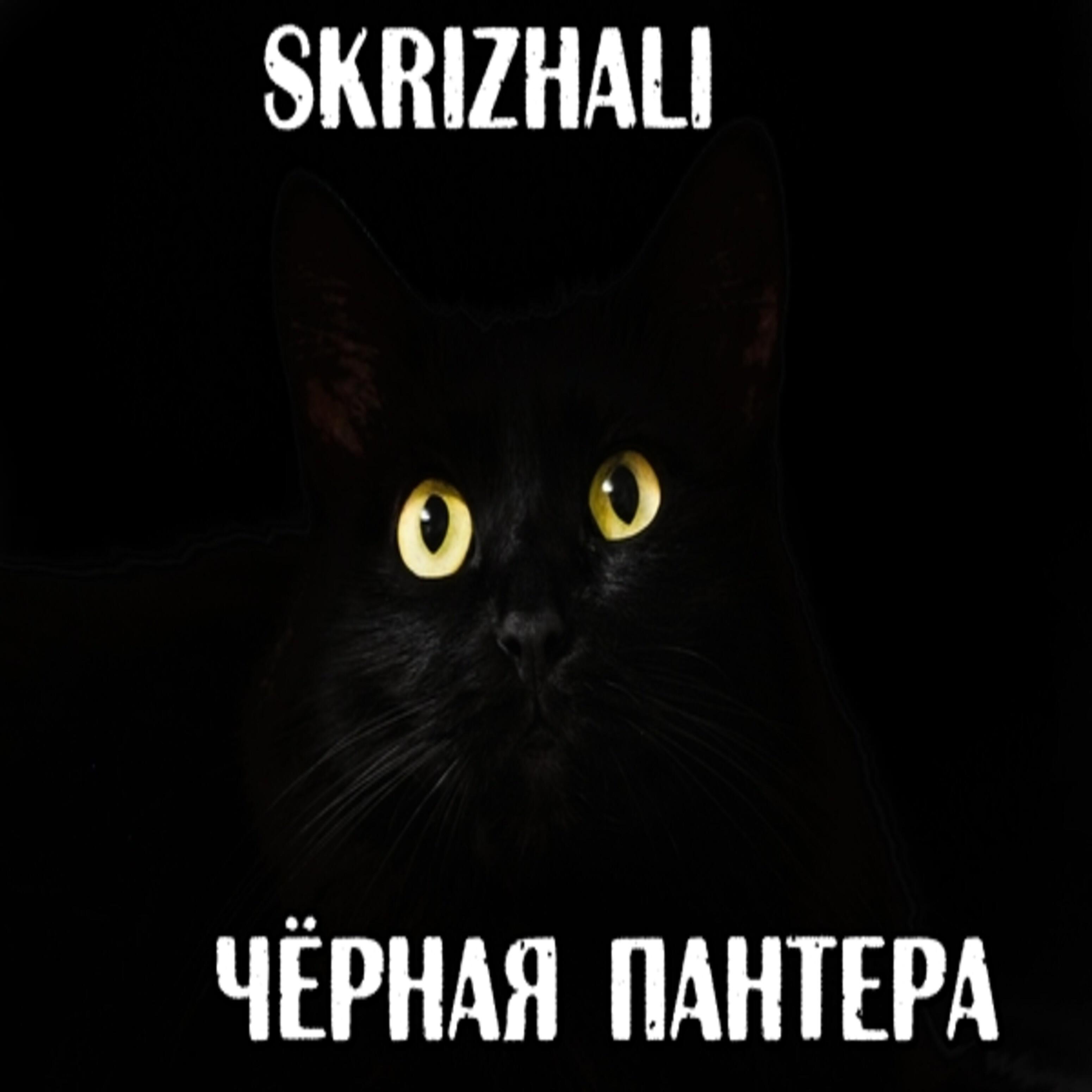 Постер альбома Чёрная пантера