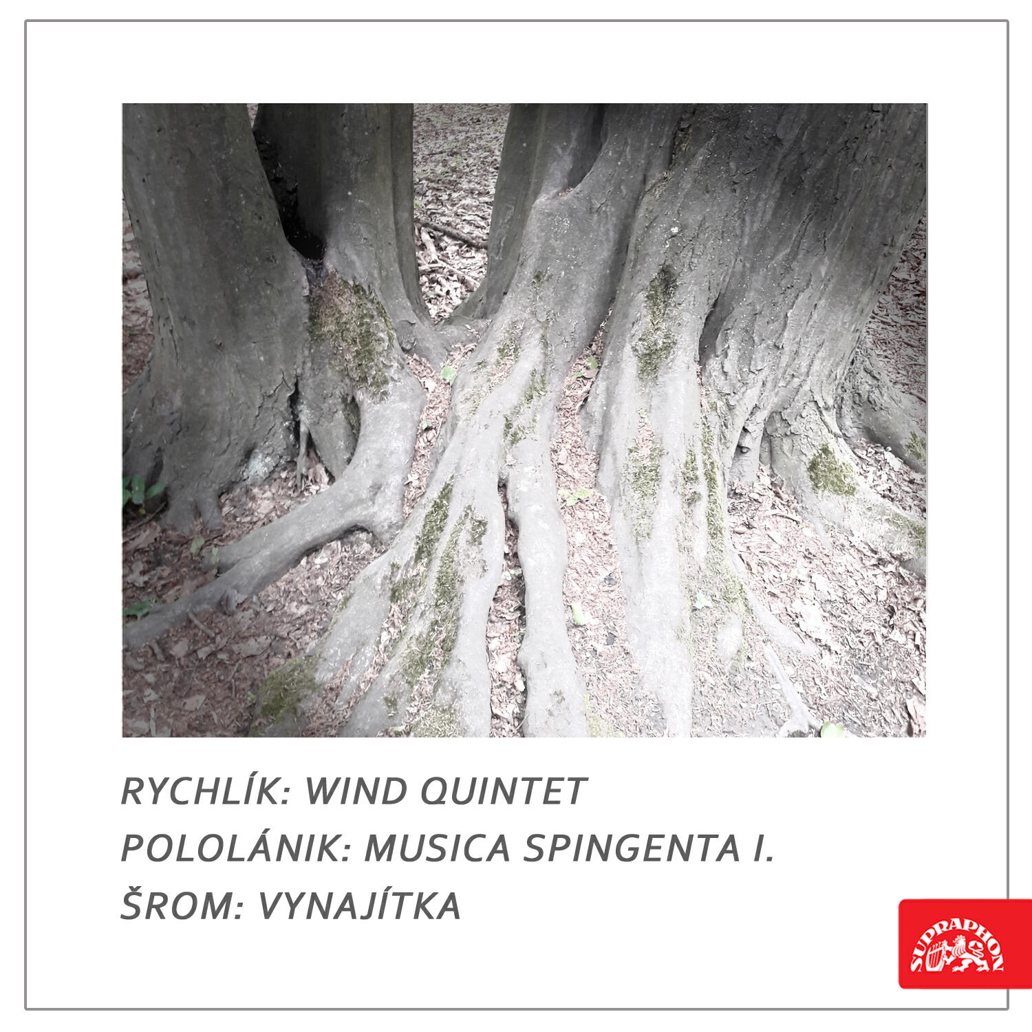 Foerster Wind Quintet