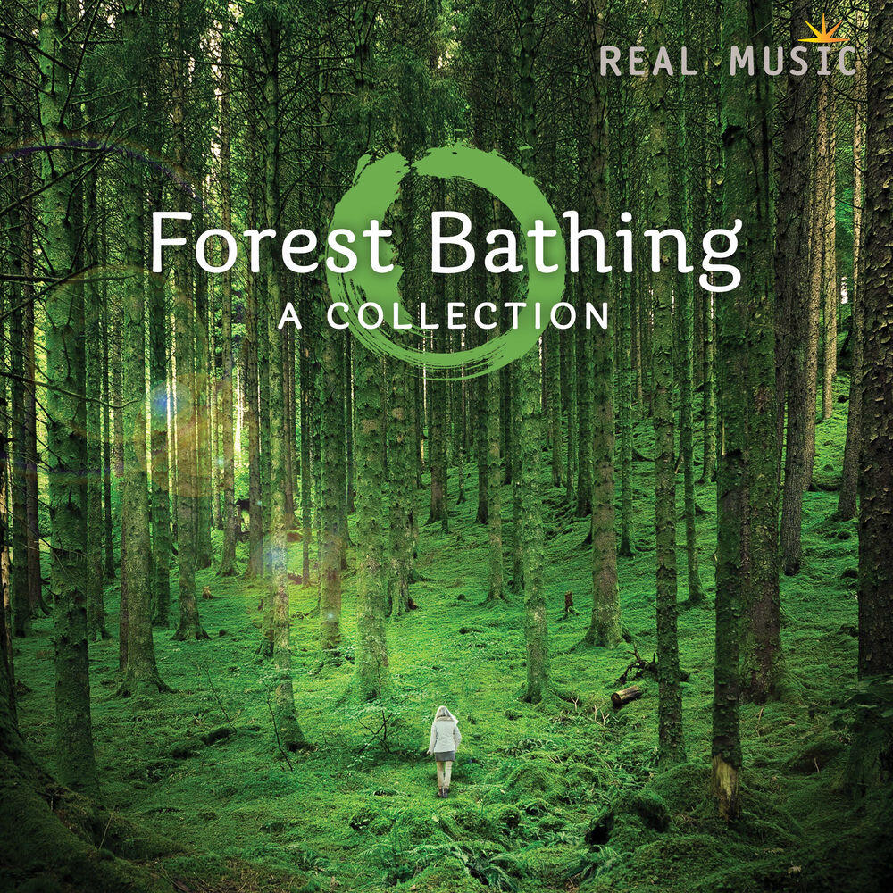 Релиз Forest Bathing