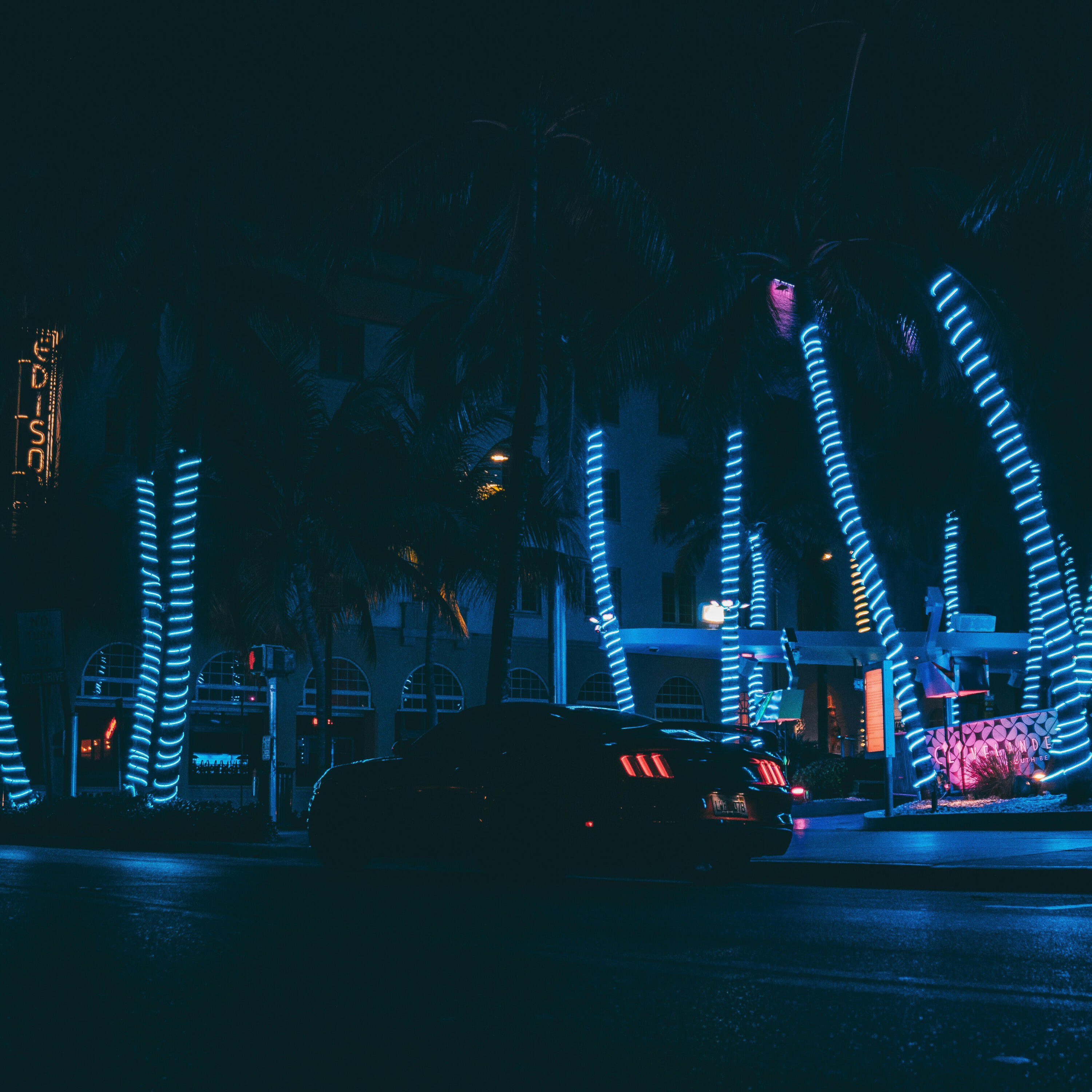 Релиз Miami Night