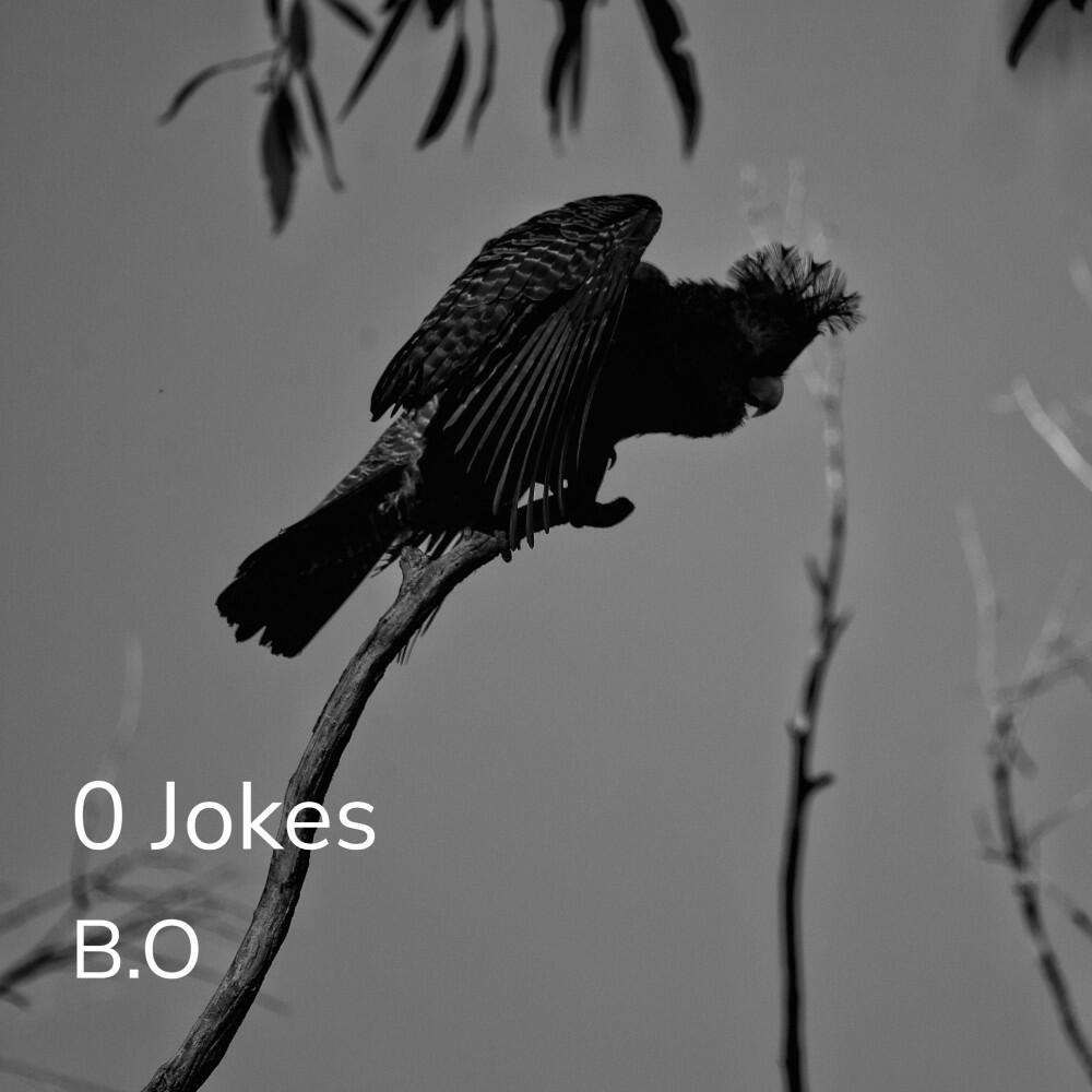 Релиз 0 Jokes