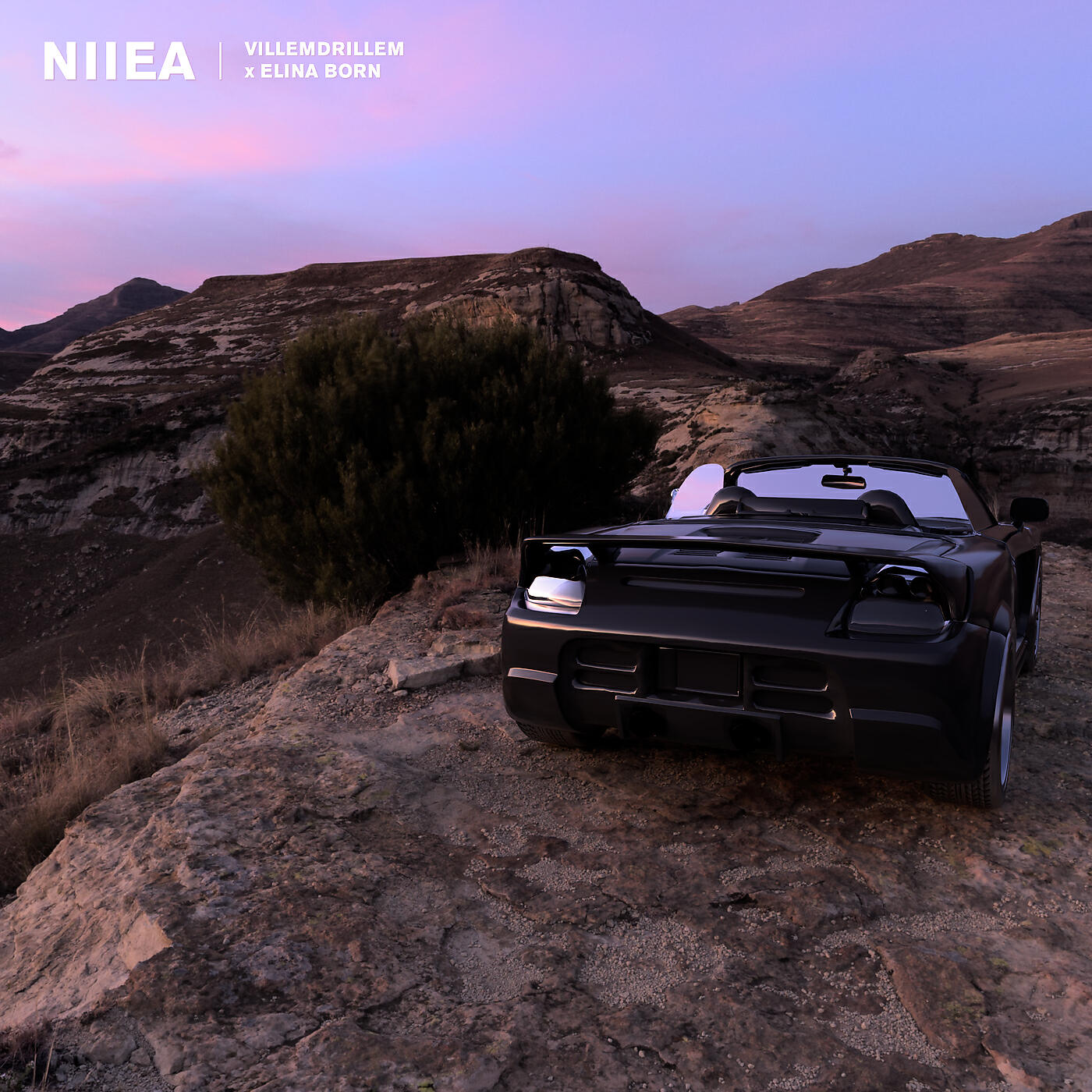 Релиз niiea