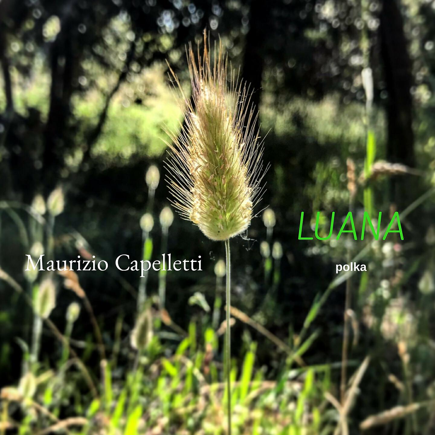 Релиз Luana