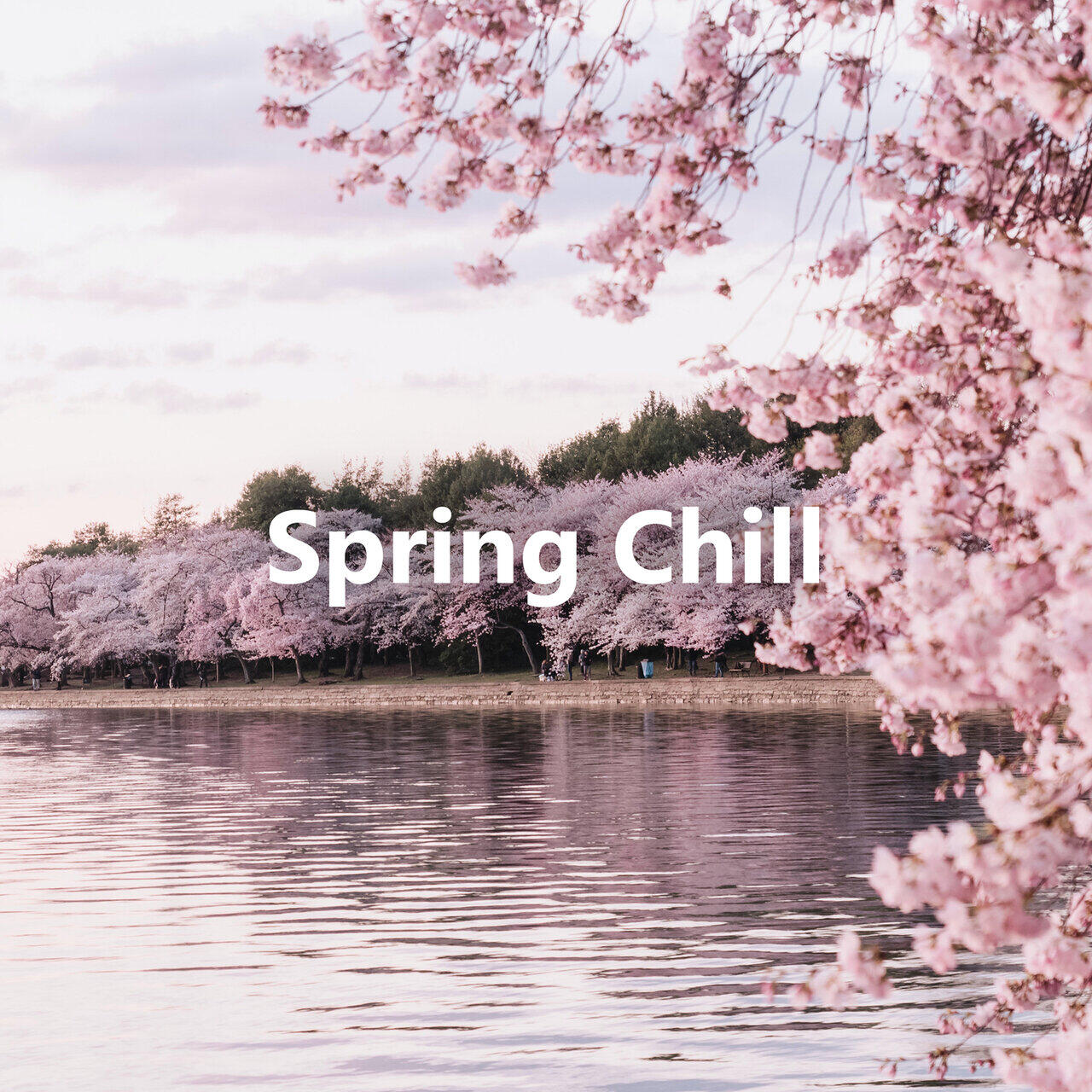 Релиз Spring Chill