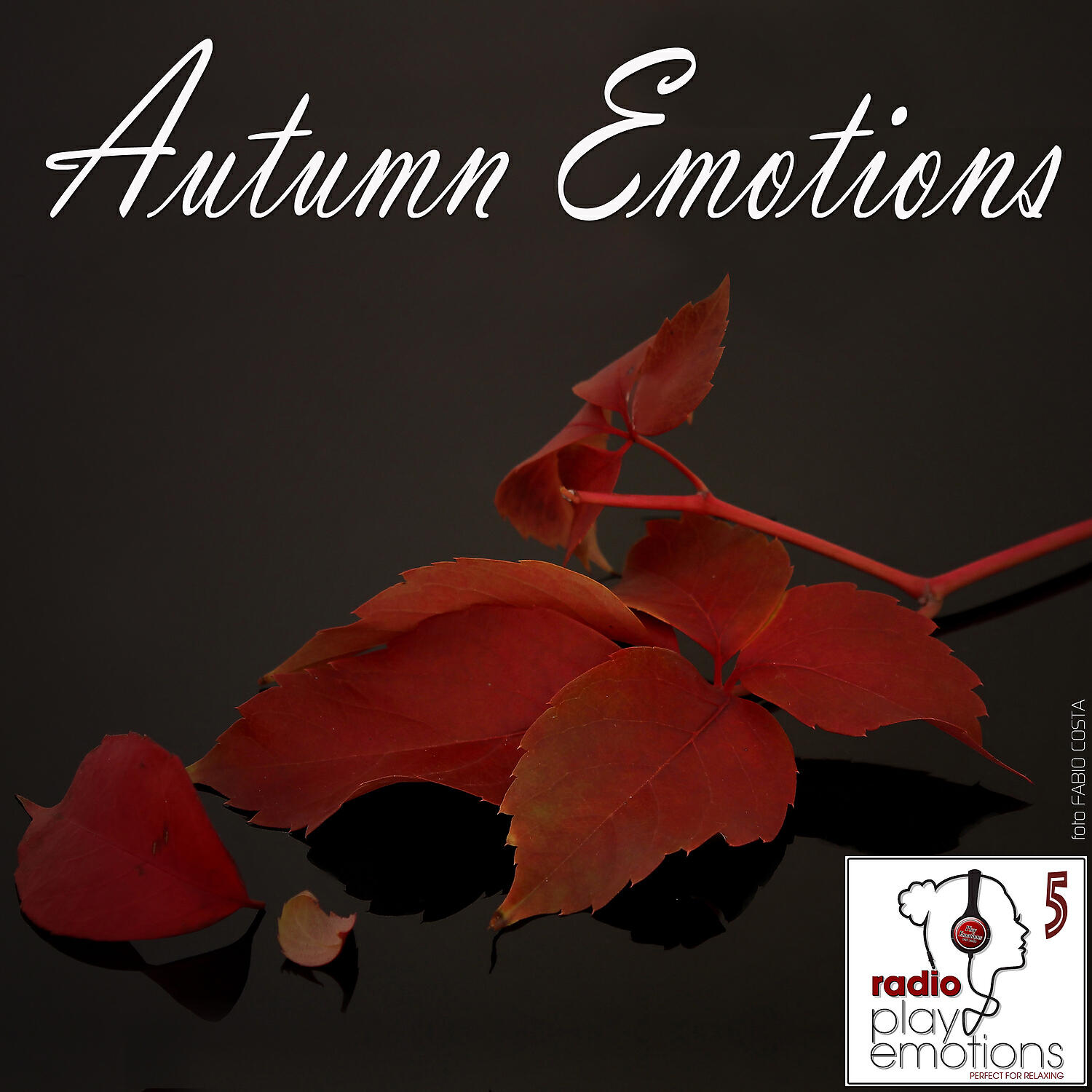 Релиз Play Emotions, Vol. 5: Autumn Emotions Playlist