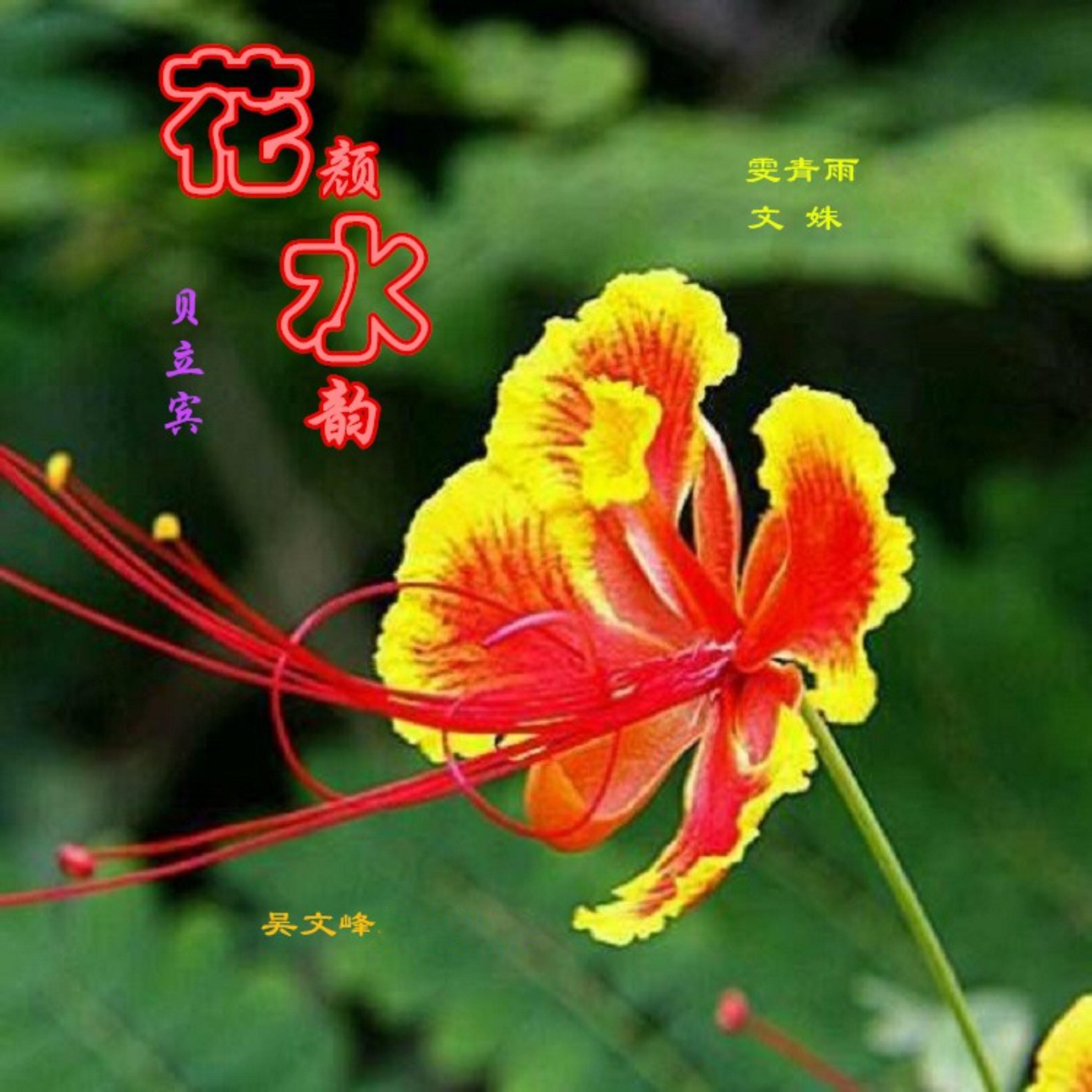 Релиз 花颜水韵