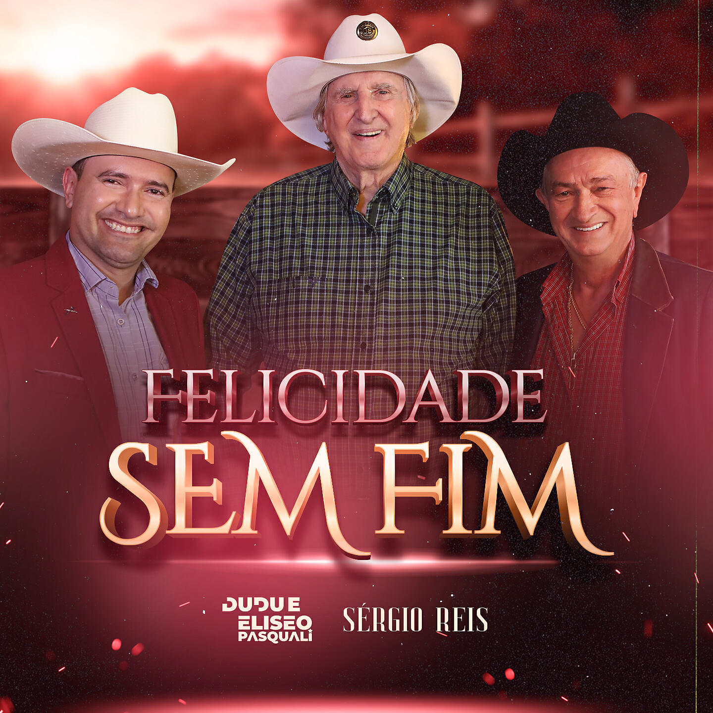 Релиз Felicidade Sem Fim