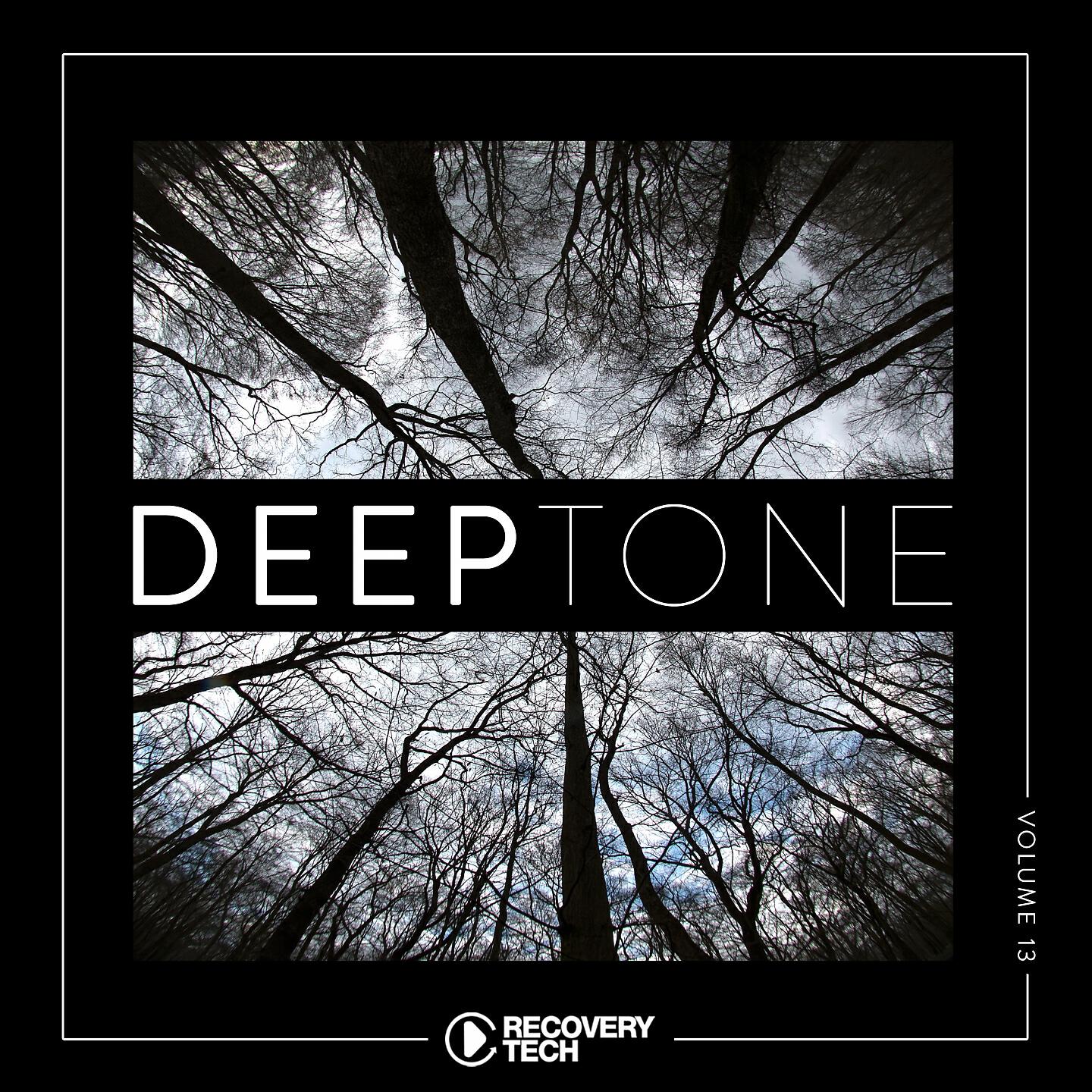 Релиз DeepTone, Vol. 13
