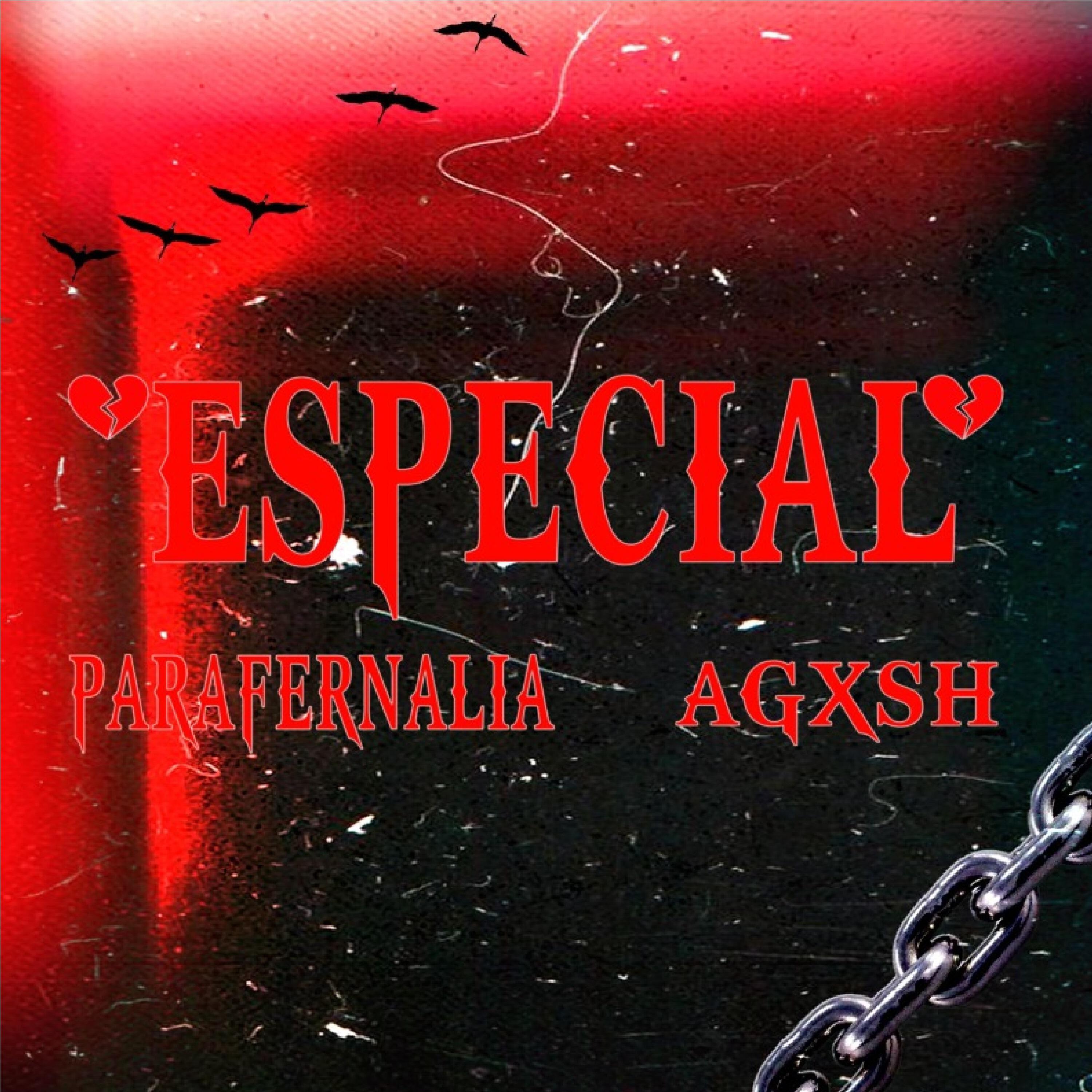 Трек Especial