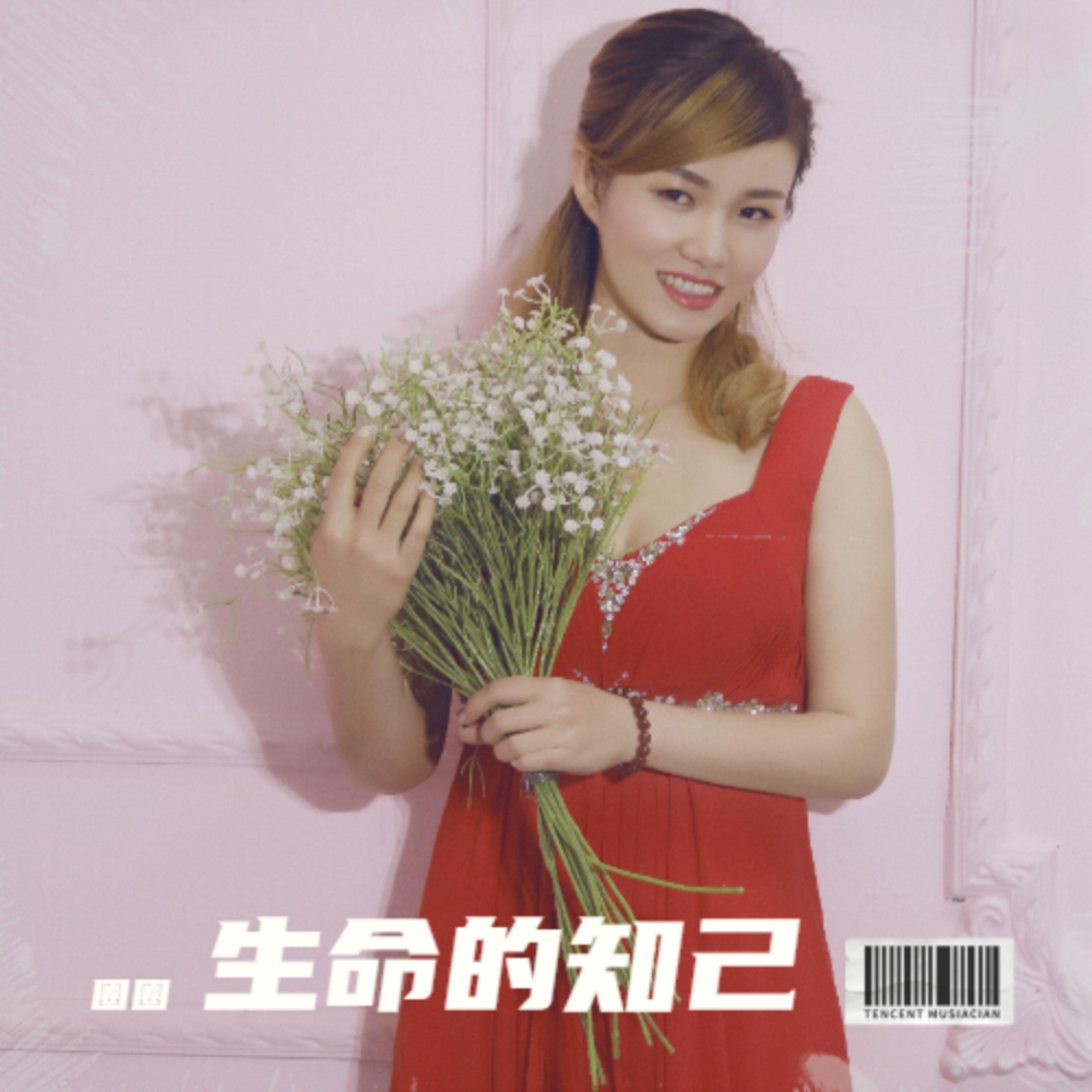 Релиз 生命的知己