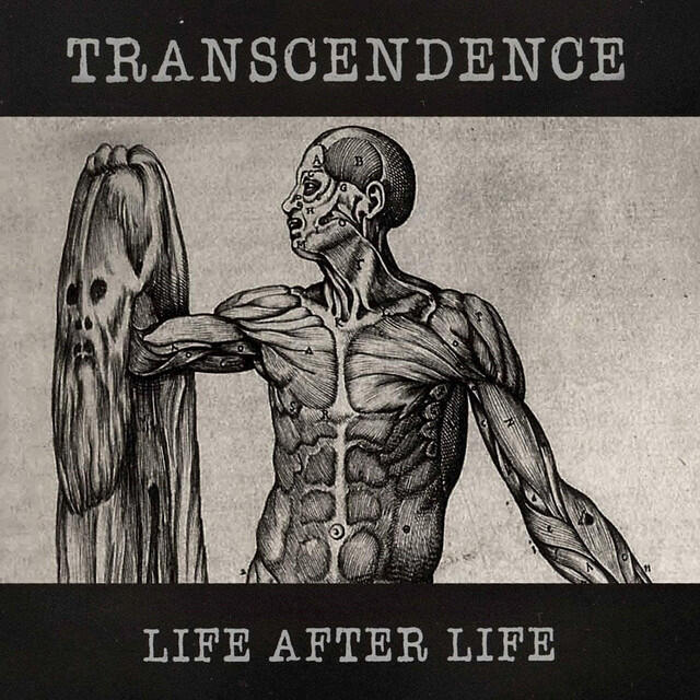 Релиз Life After Life