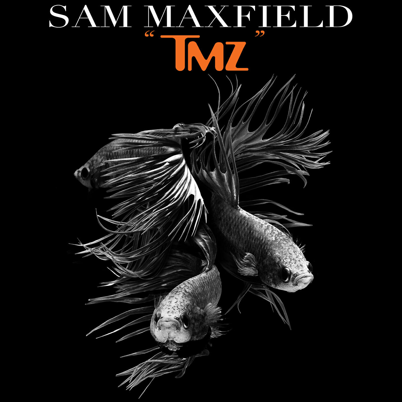 Sam Maxfield