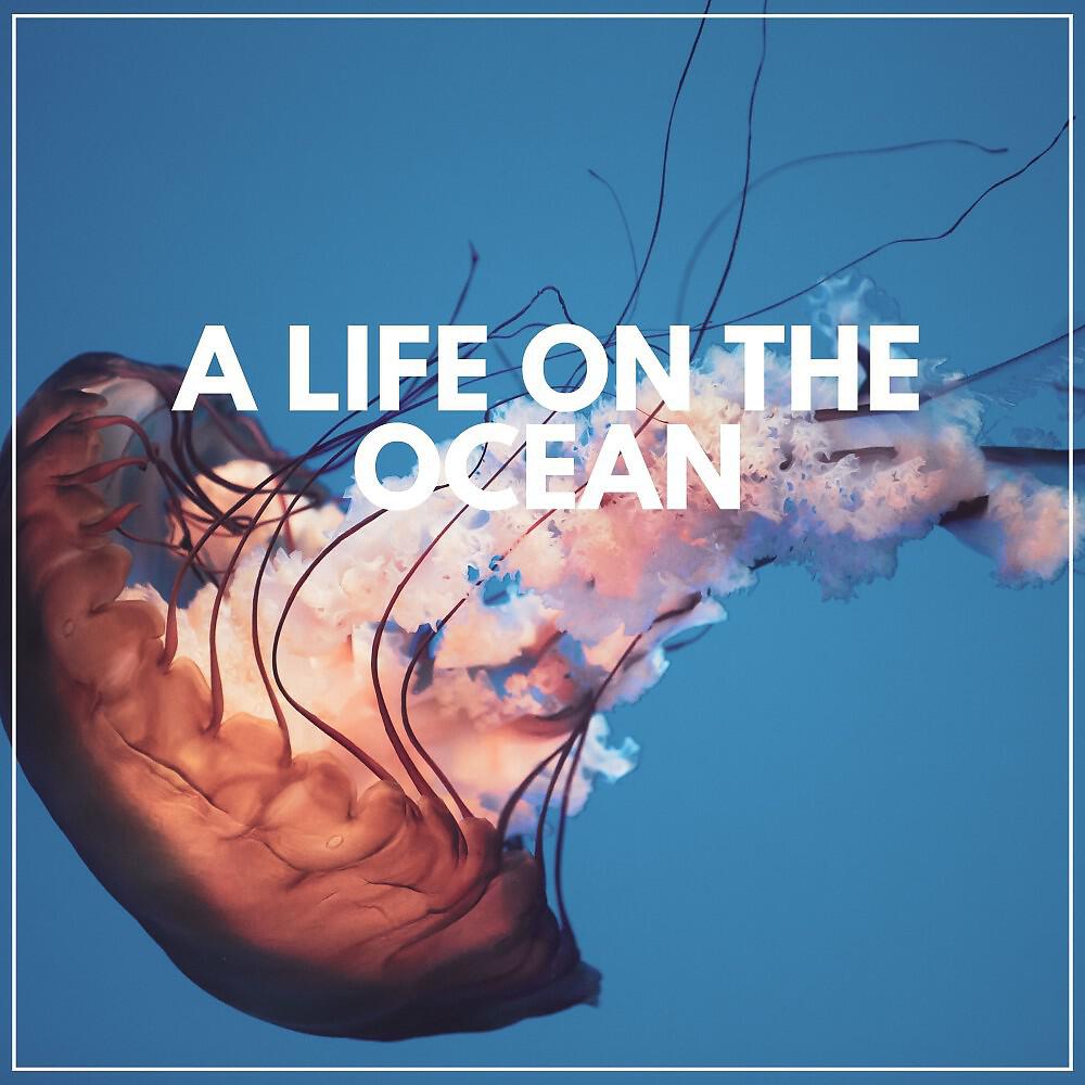 Релиз A Life on the Ocean