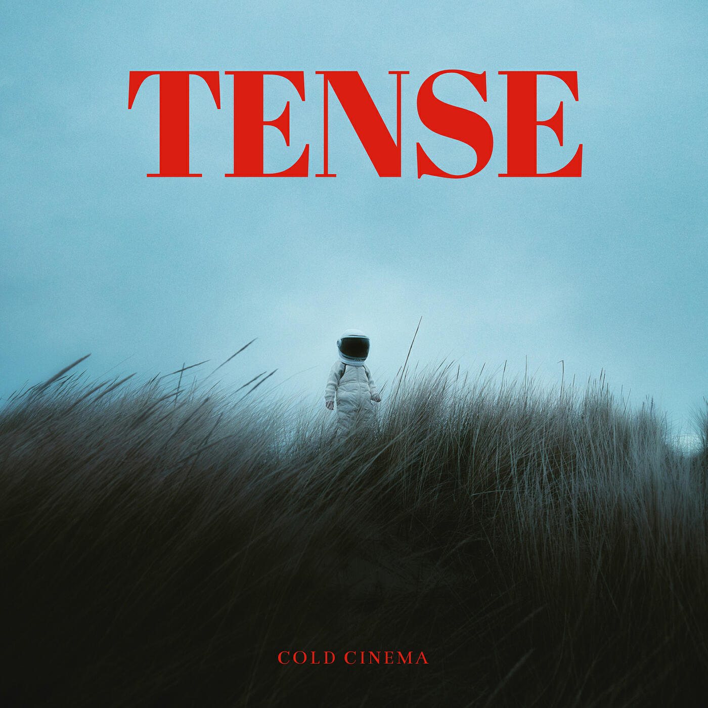 Релиз Tense