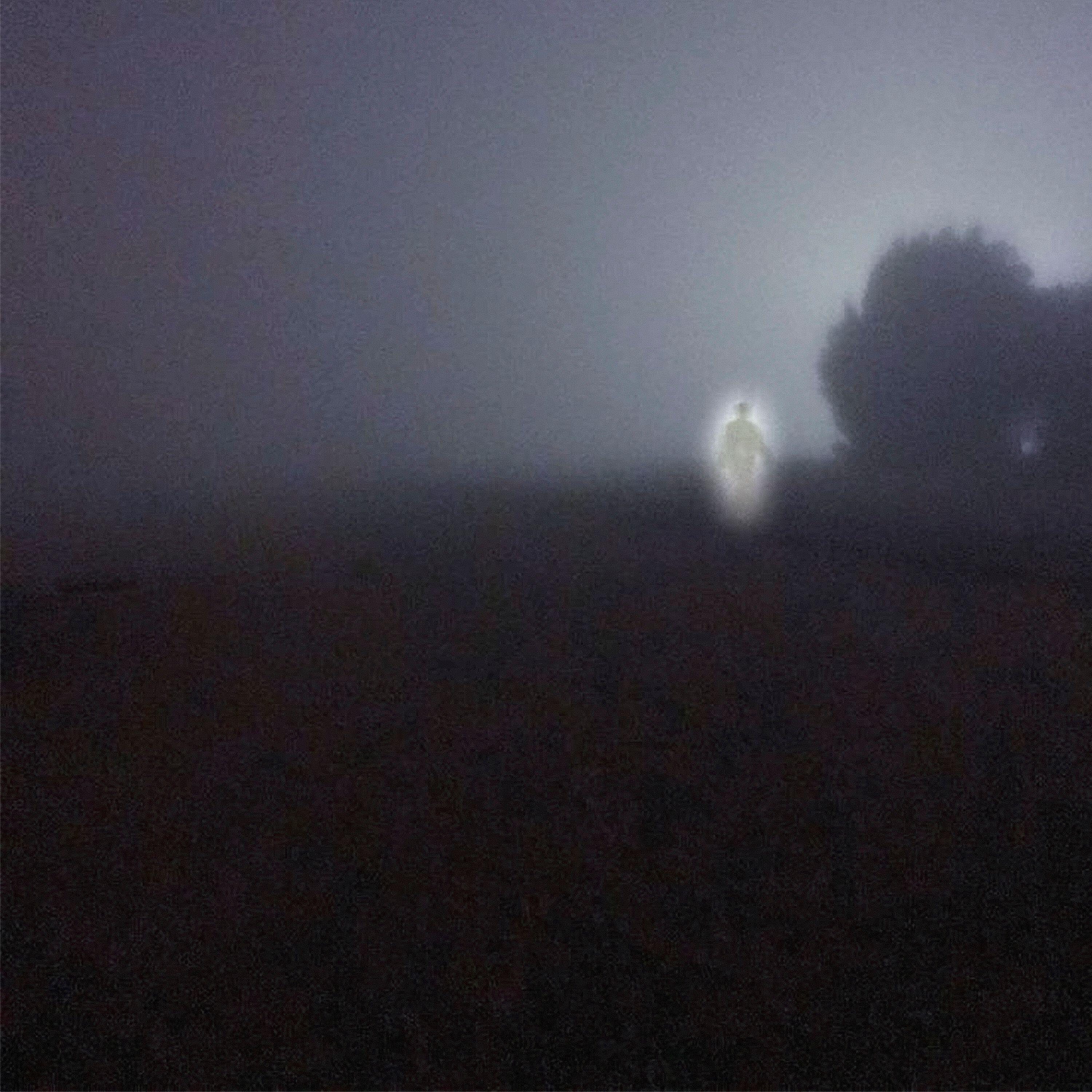 Релиз paranoia