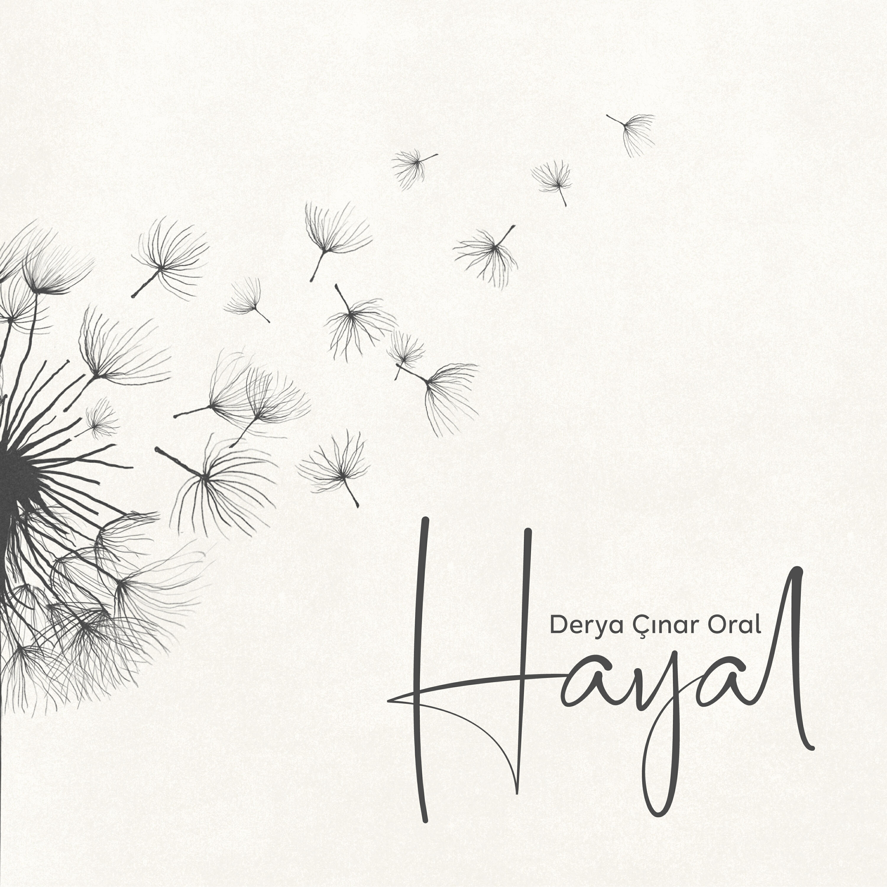 Релиз Hayal