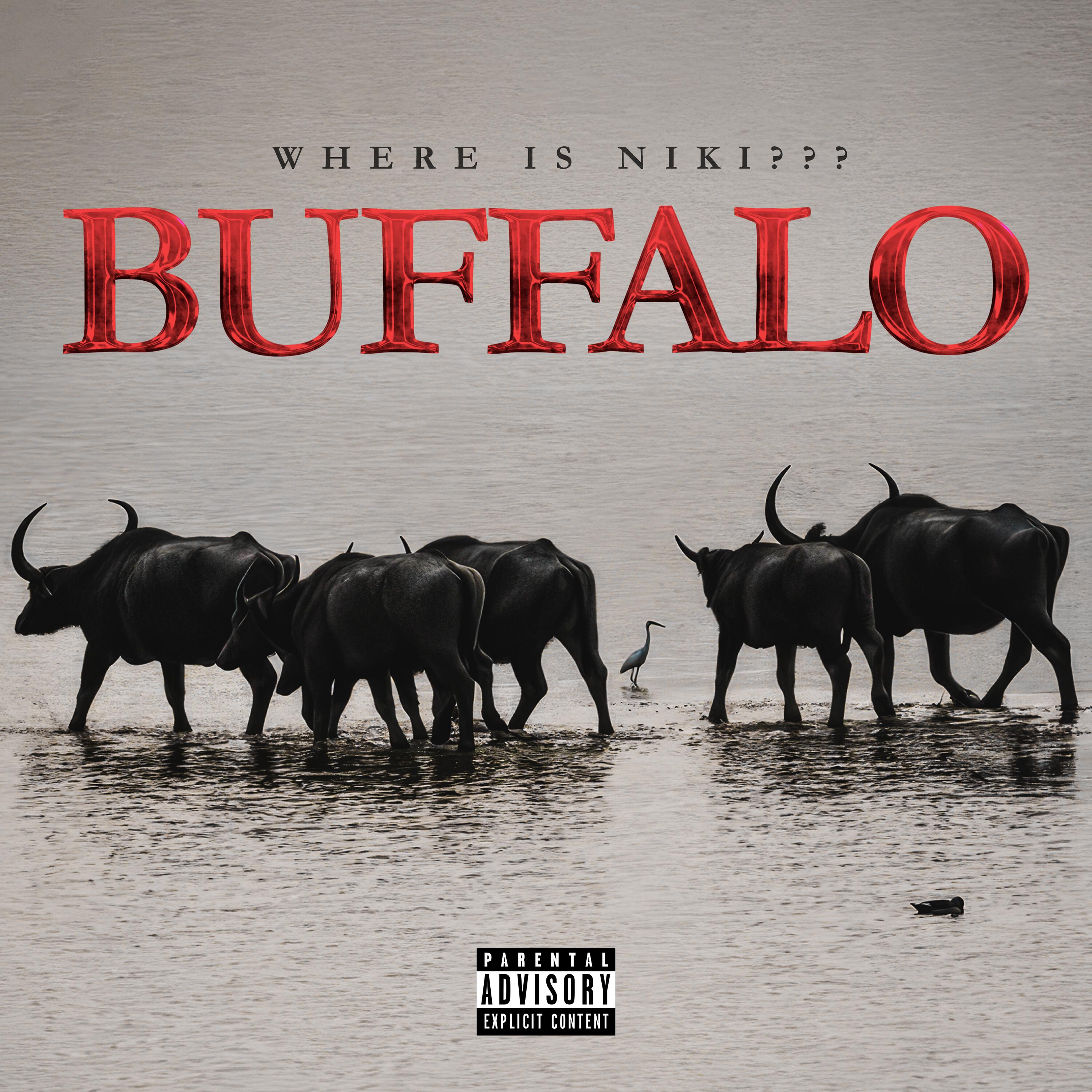 Релиз BUFFALO