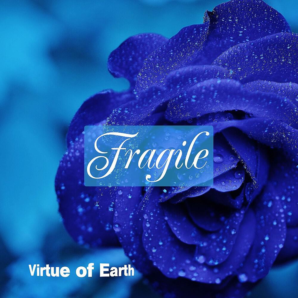 Релиз Fragile