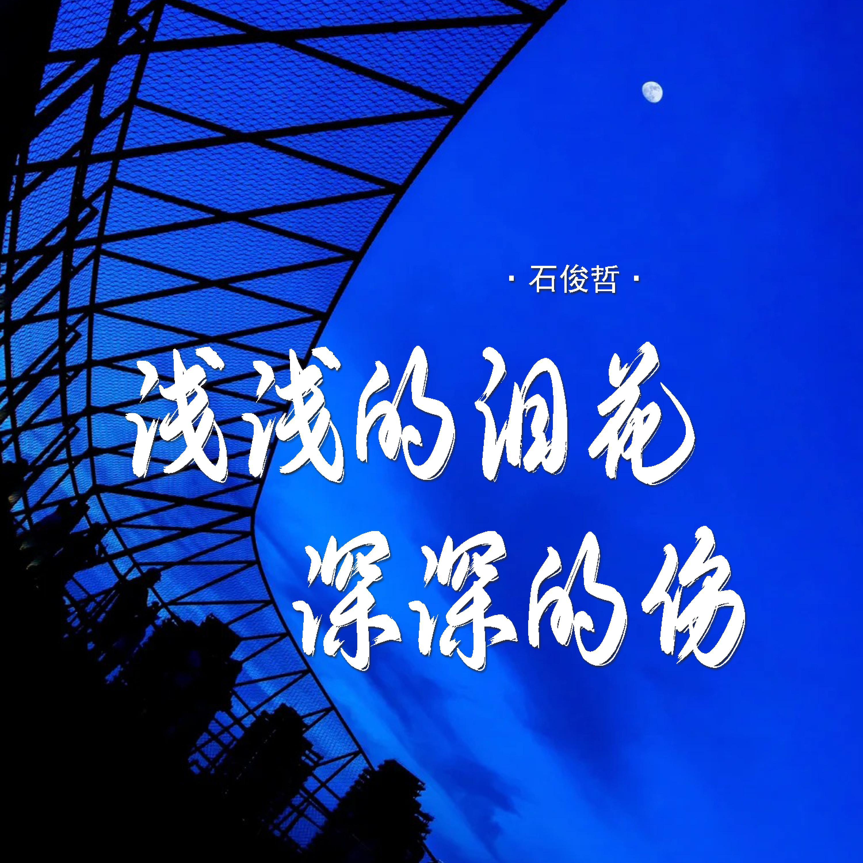 Релиз 浅浅的泪花深深的伤