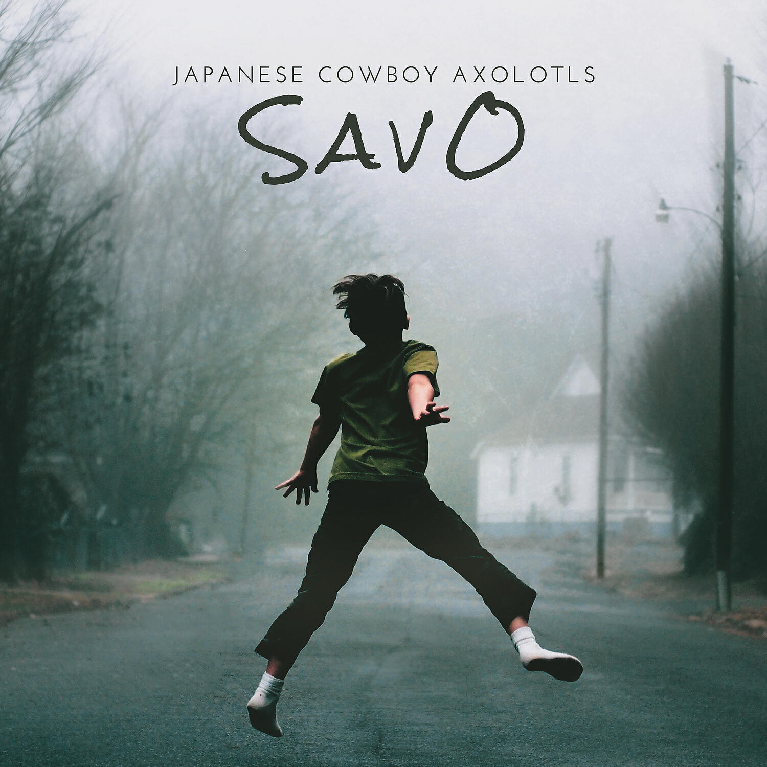 Japanese Cowboy Axolotls