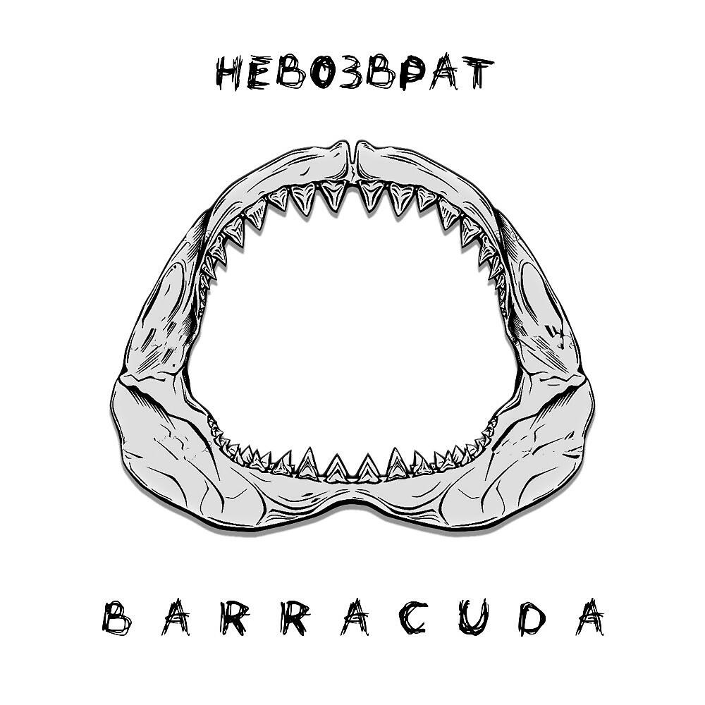 Релиз Barracuda