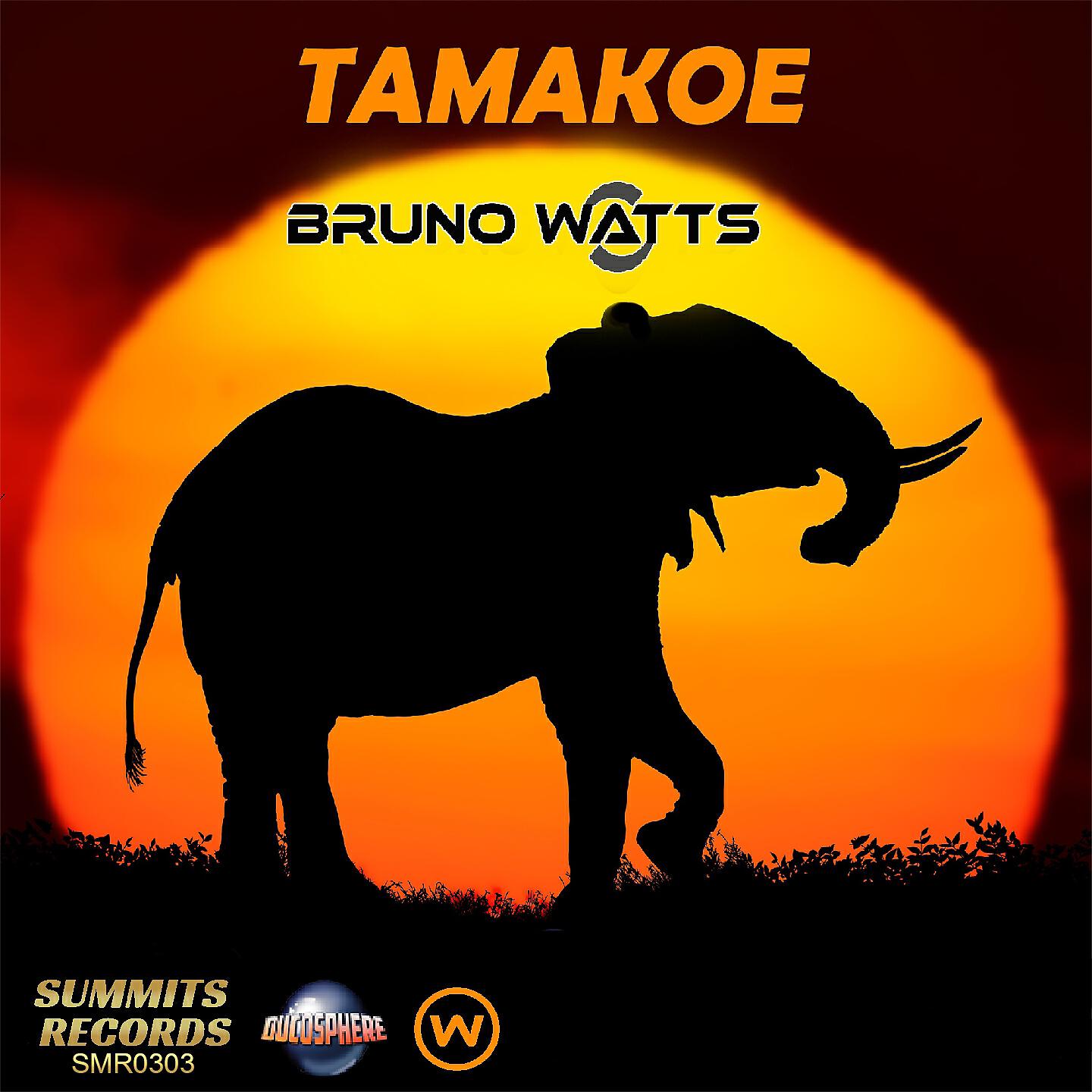 Релиз Tamakoe