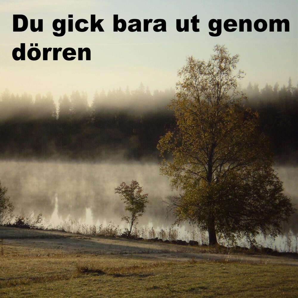 Релиз Du gick bara ut genom dörren