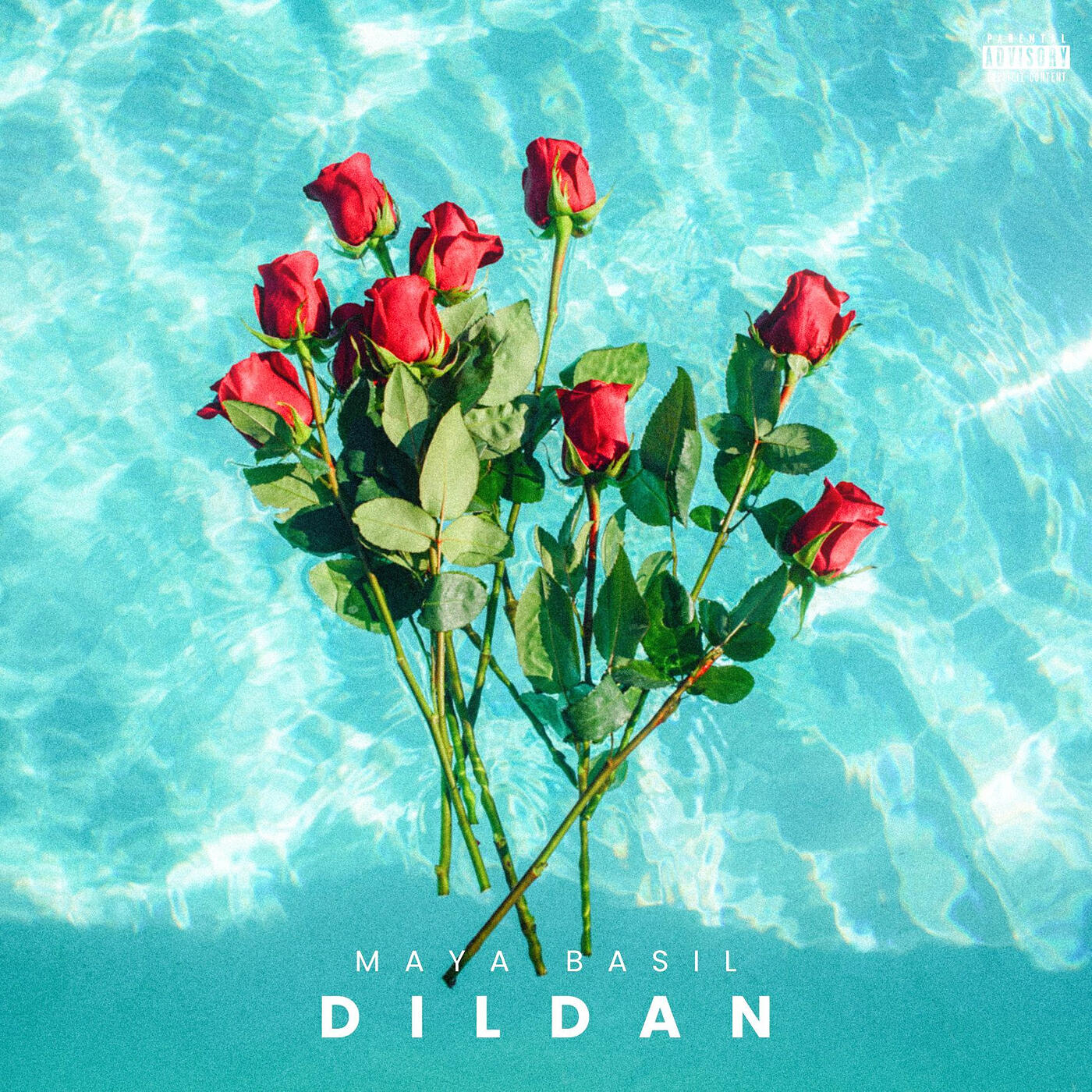 Релиз Dildan