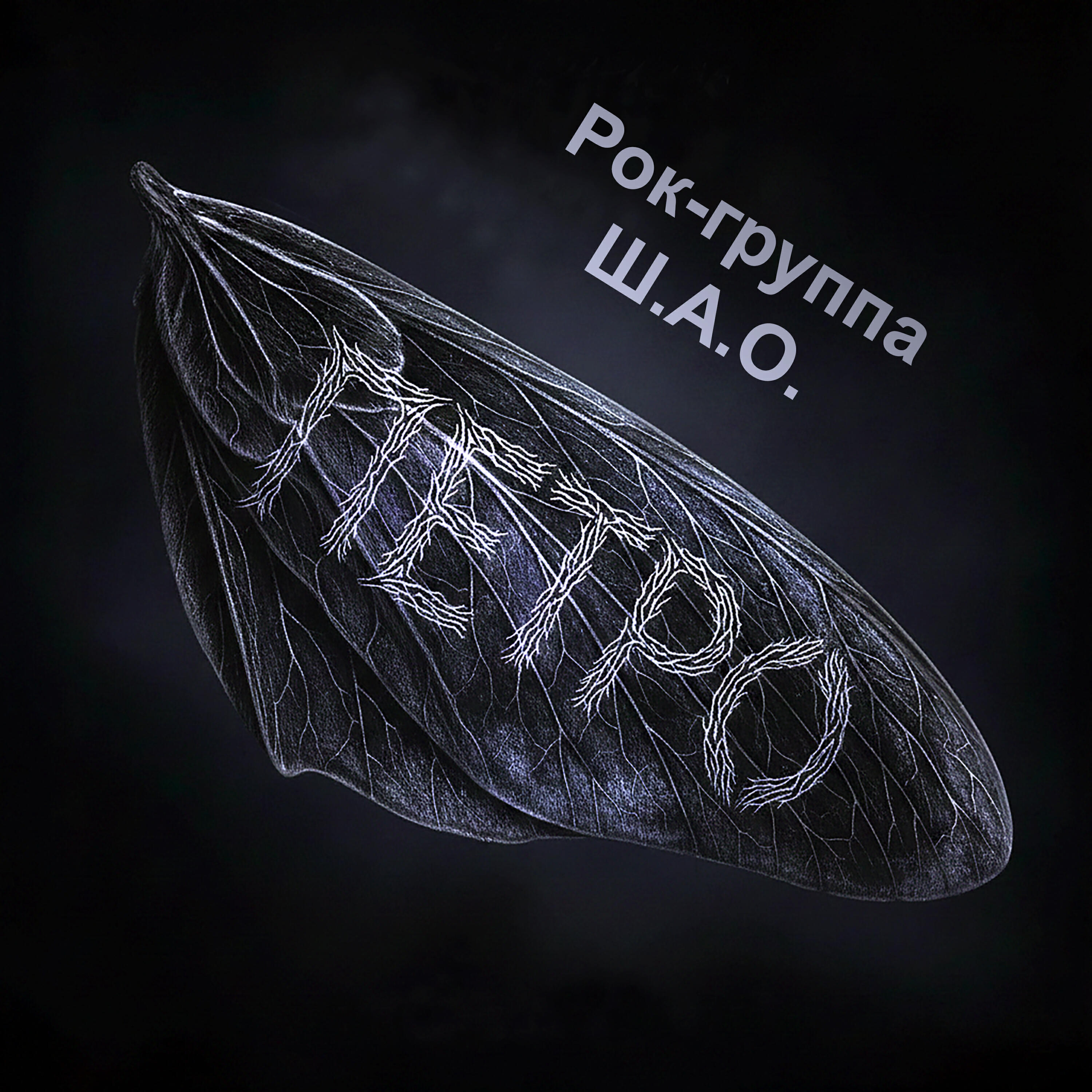 Рок группа Ш.А.О.