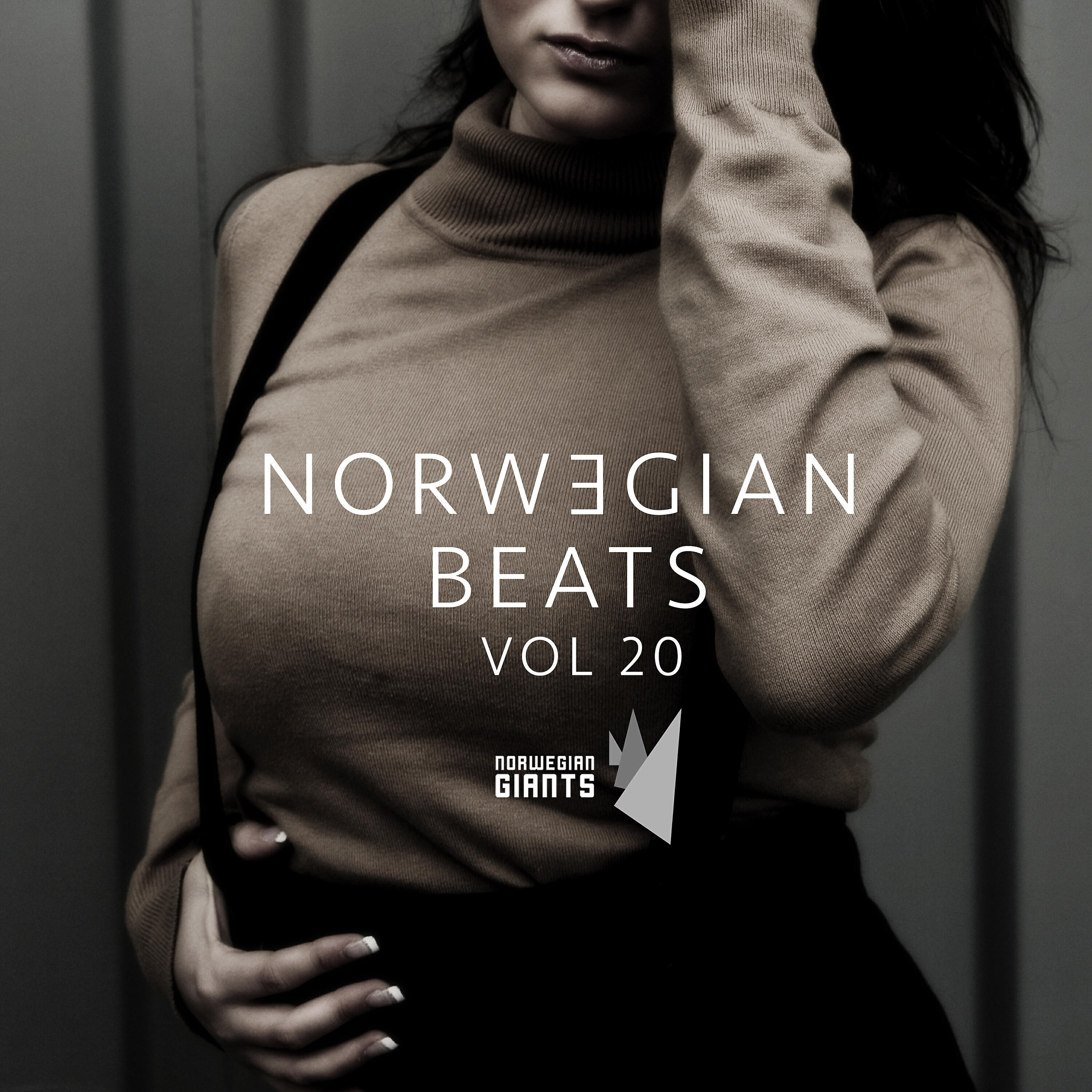 Релиз Norwegian Beats, Vol. 20
