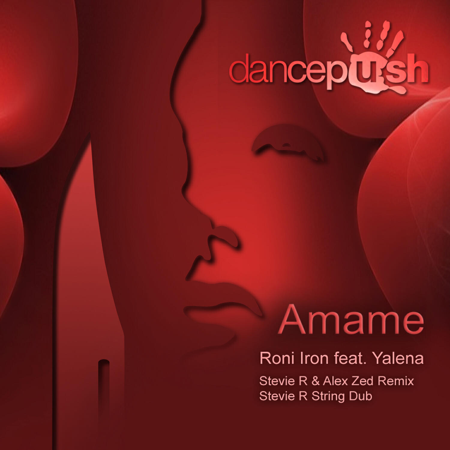 Релиз Amame (Stevie R & Alex Zed Remixes)