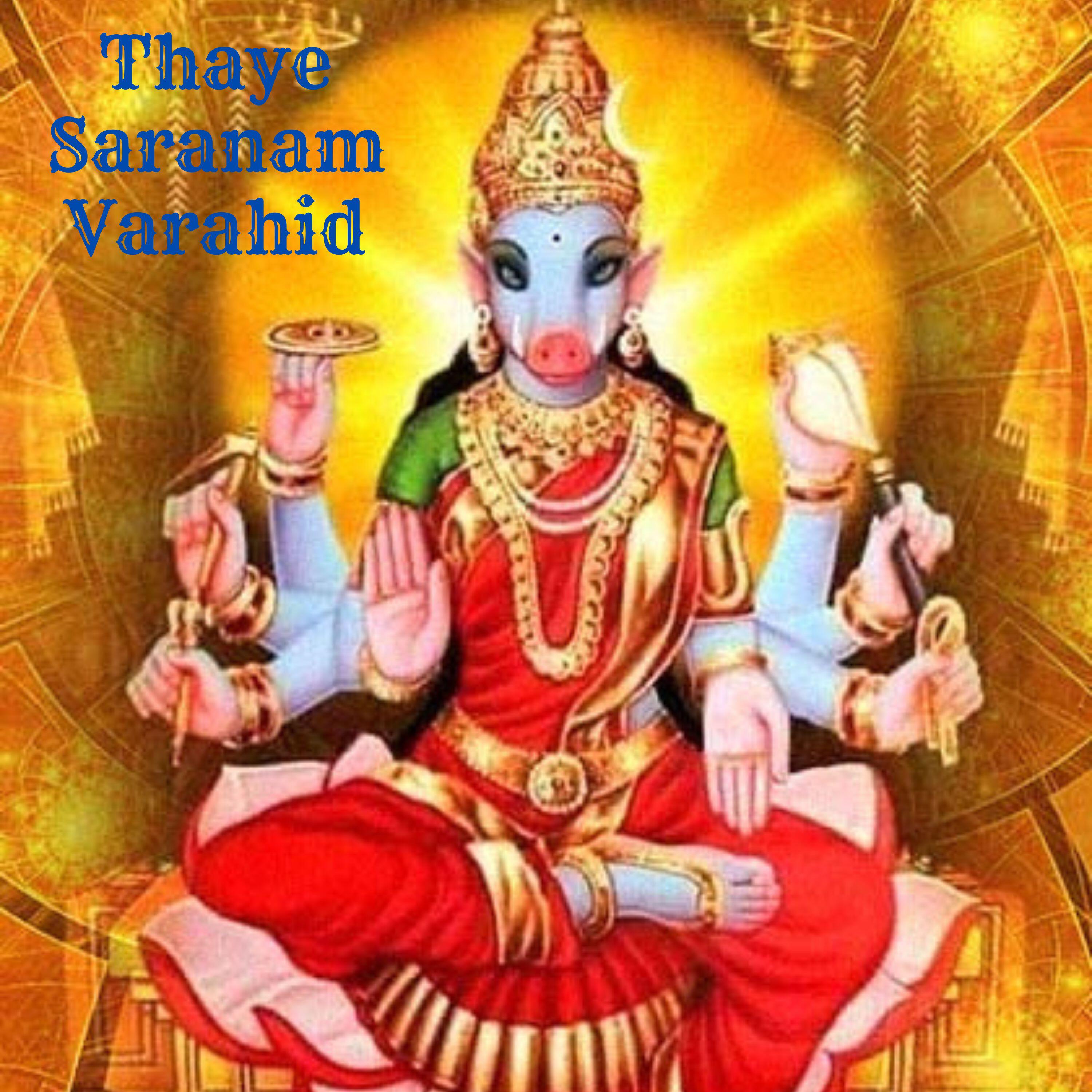 Релиз THAYEA SARANAM VAARAAGI