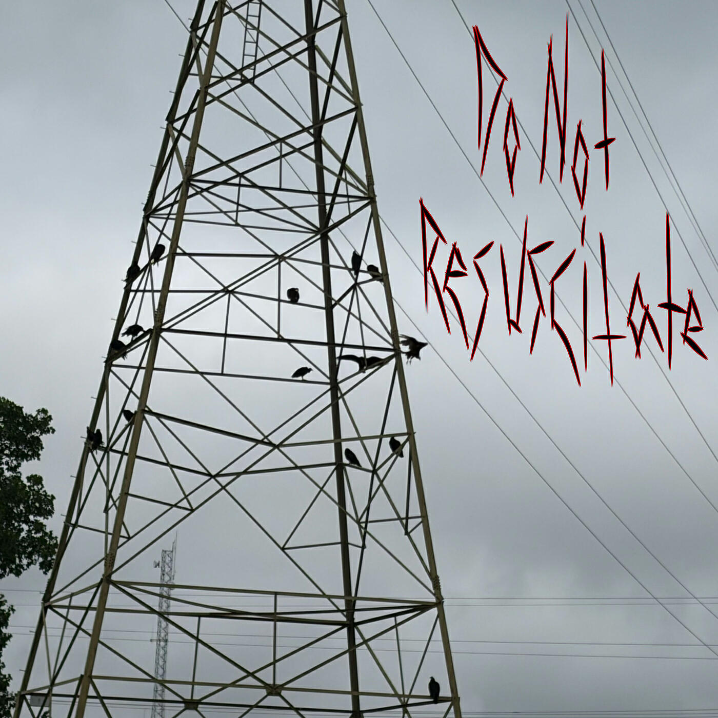 Релиз Do Not Resuscitate
