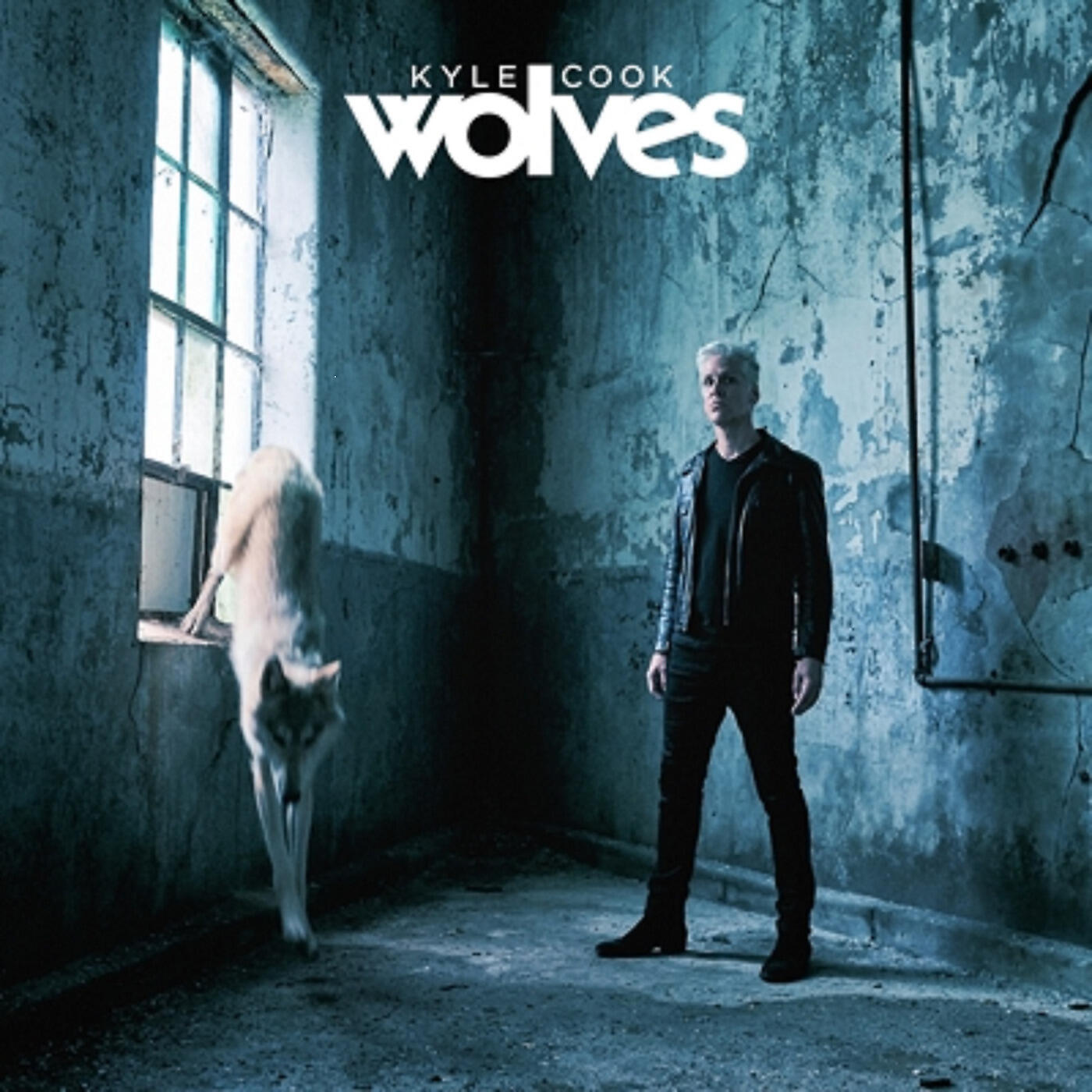 Релиз Wolves