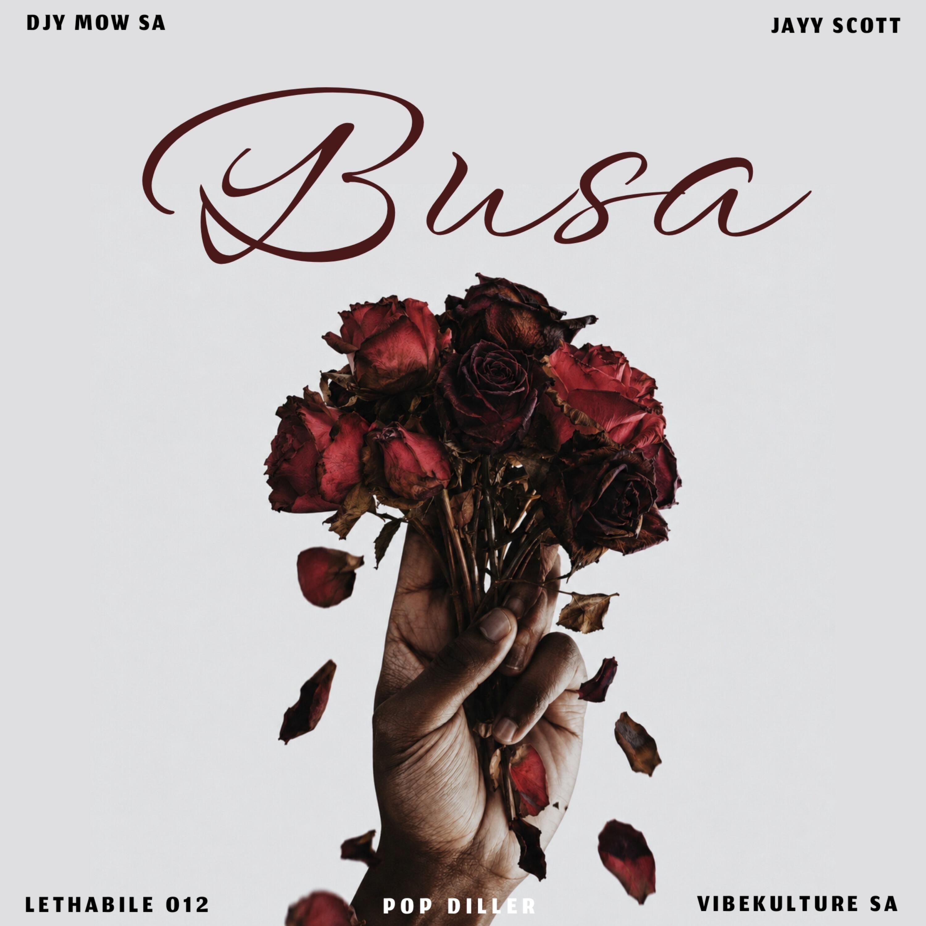 Релиз Busa