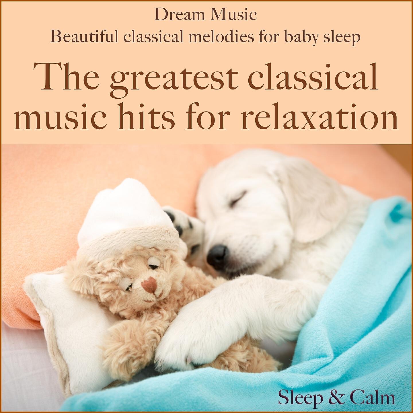 Релиз Dream music: beautiful classical melodies for Baby sleep