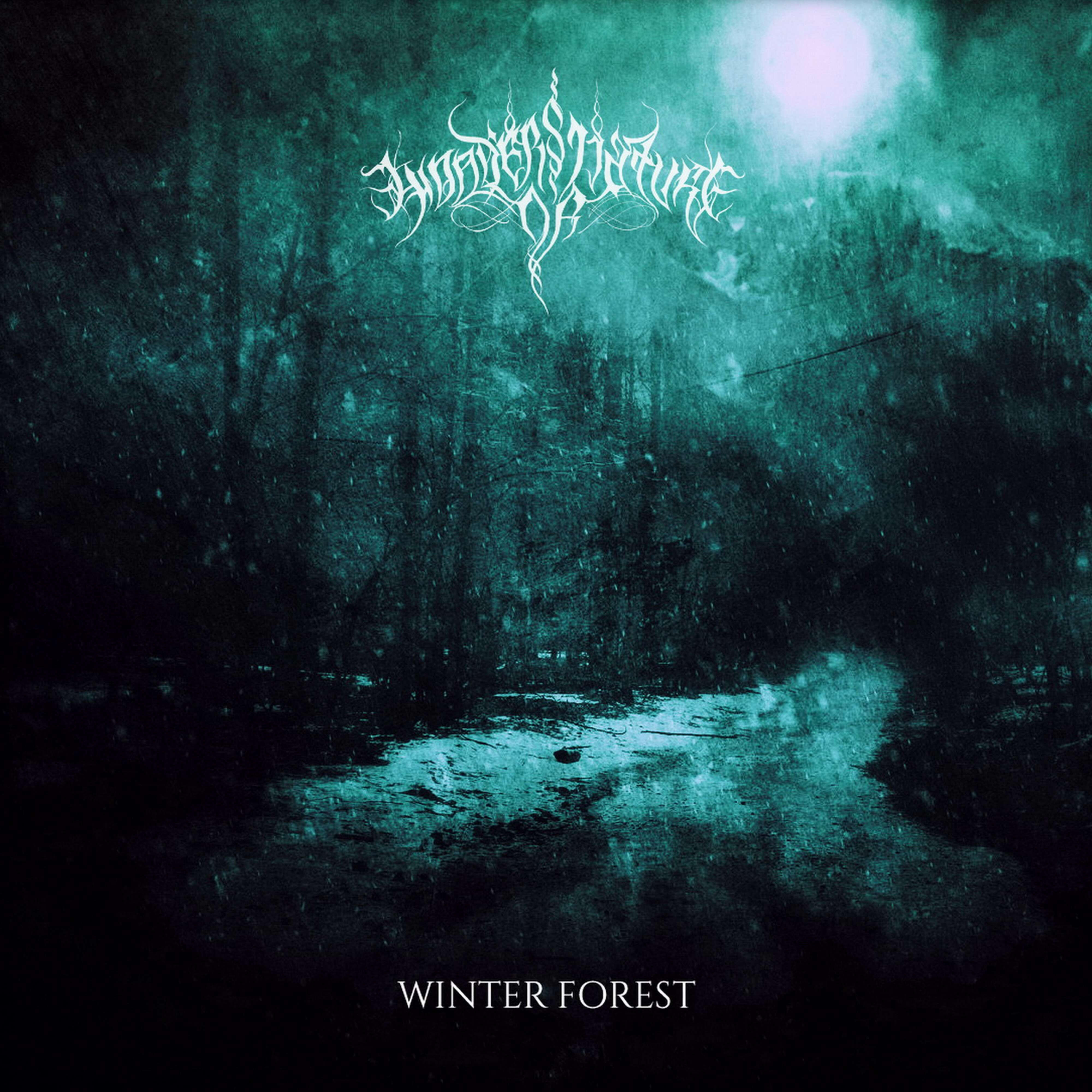 Релиз Winter Forest