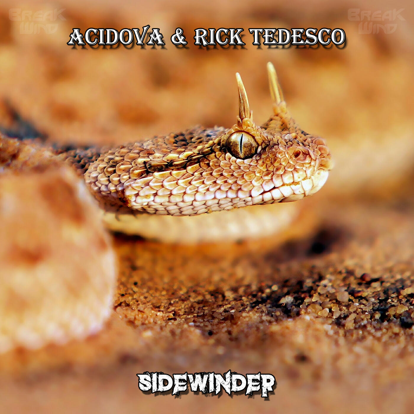 Релиз Sidewinder
