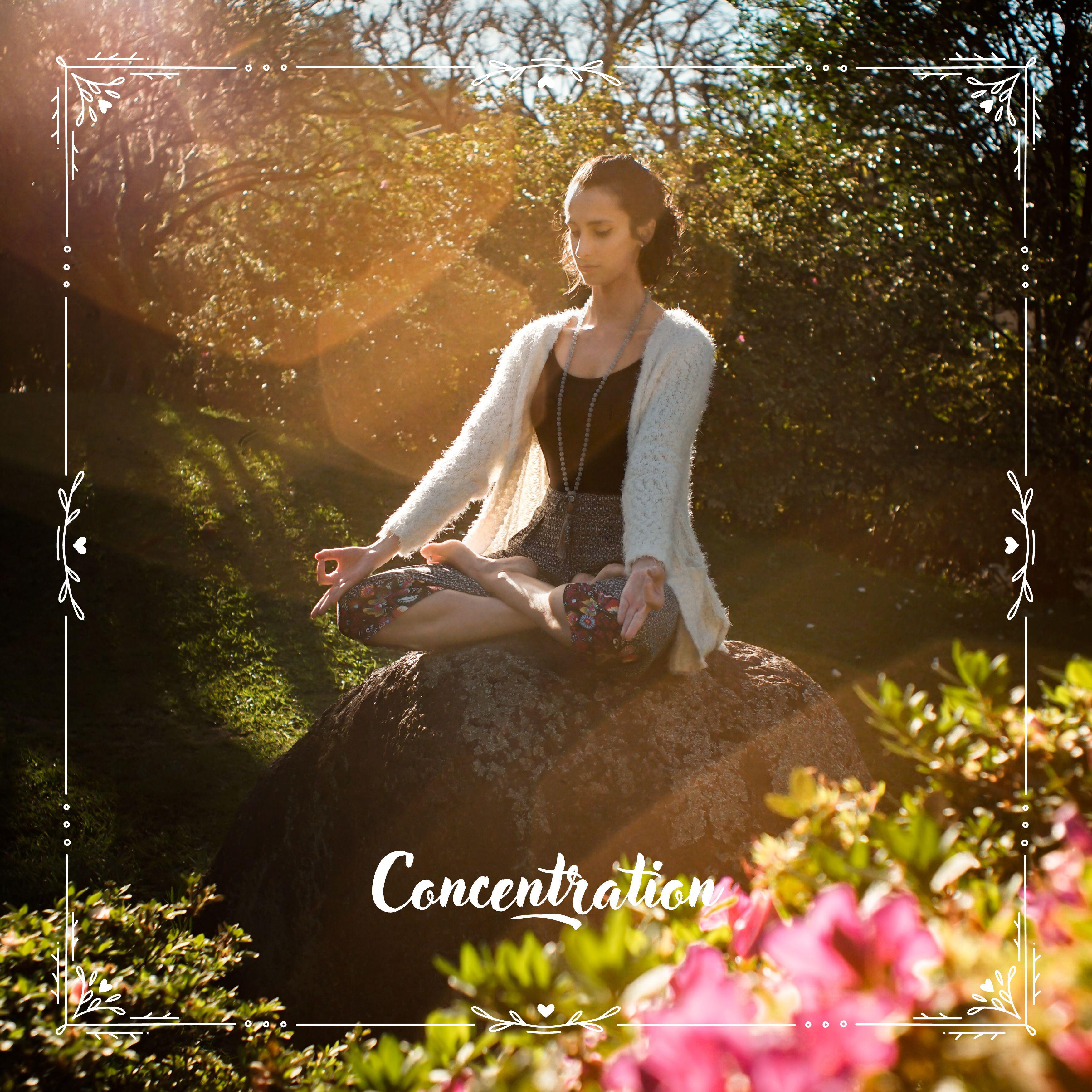 Релиз Concentration