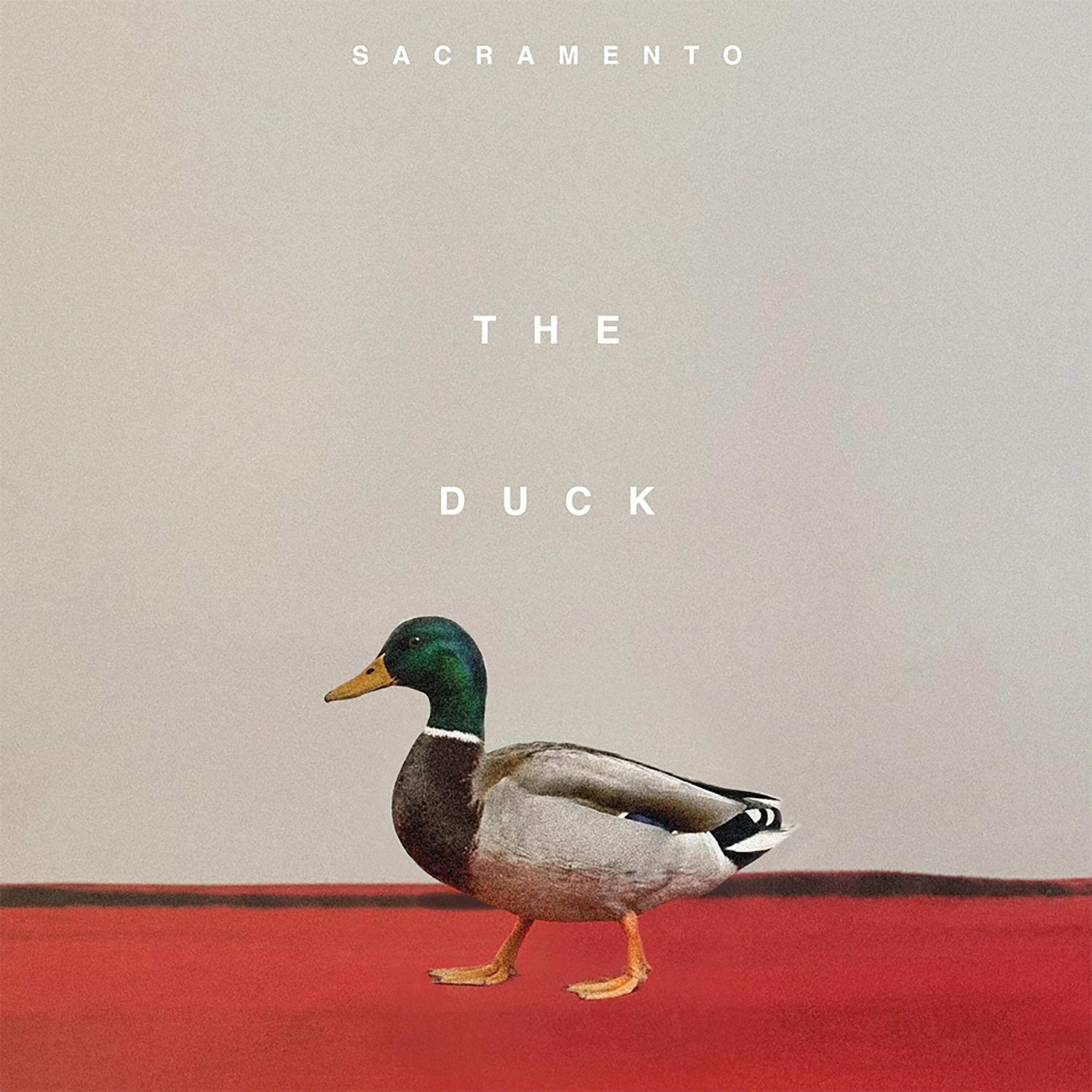 Релиз The Duck