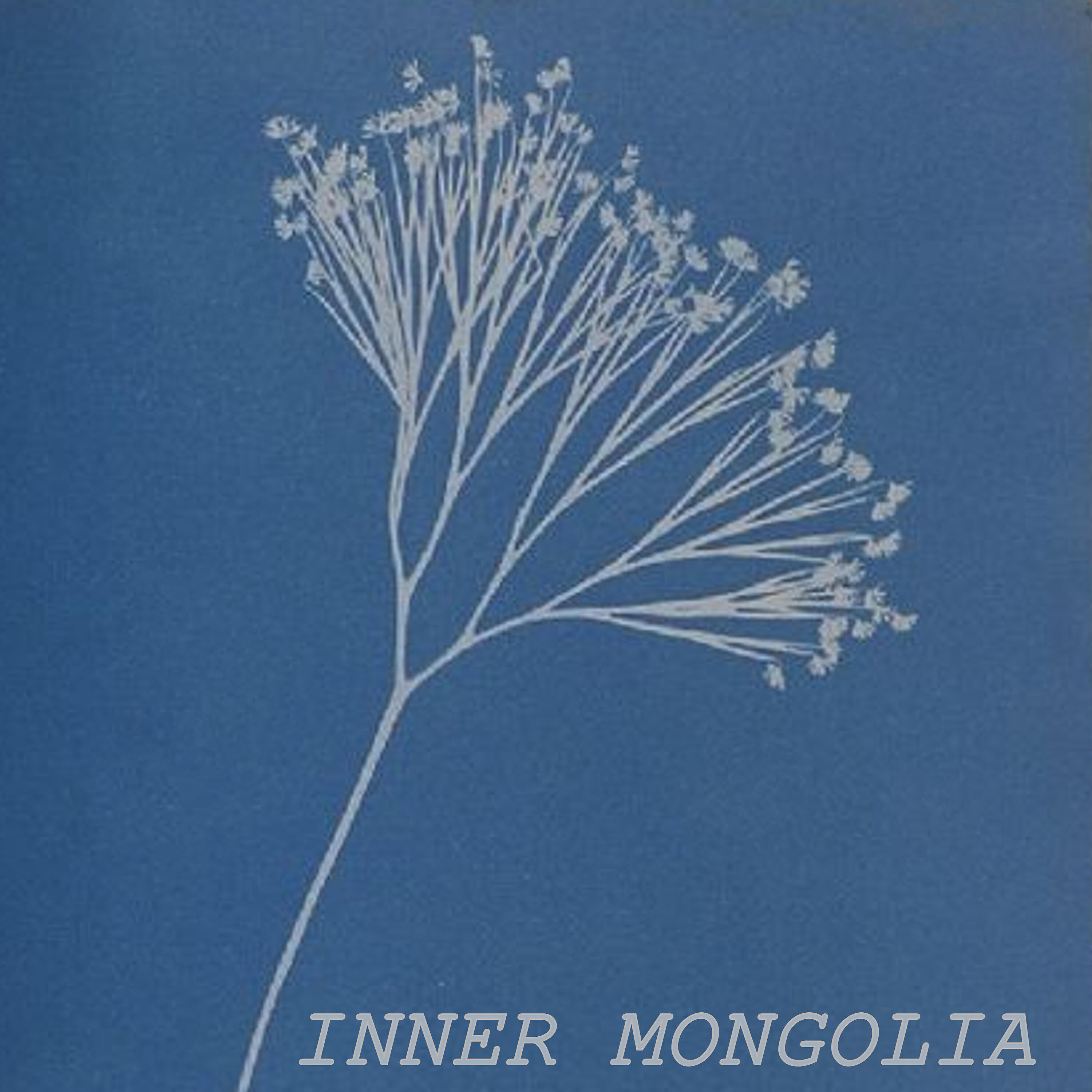 Релиз Inner Mongolia