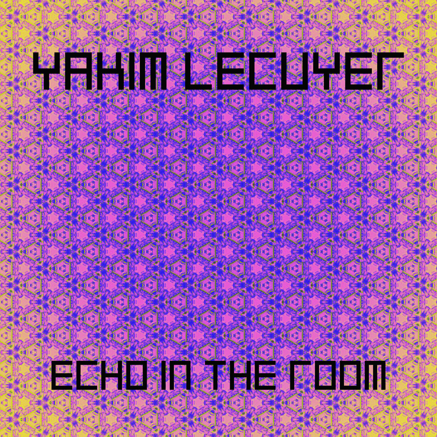 Релиз Echo In The Room
