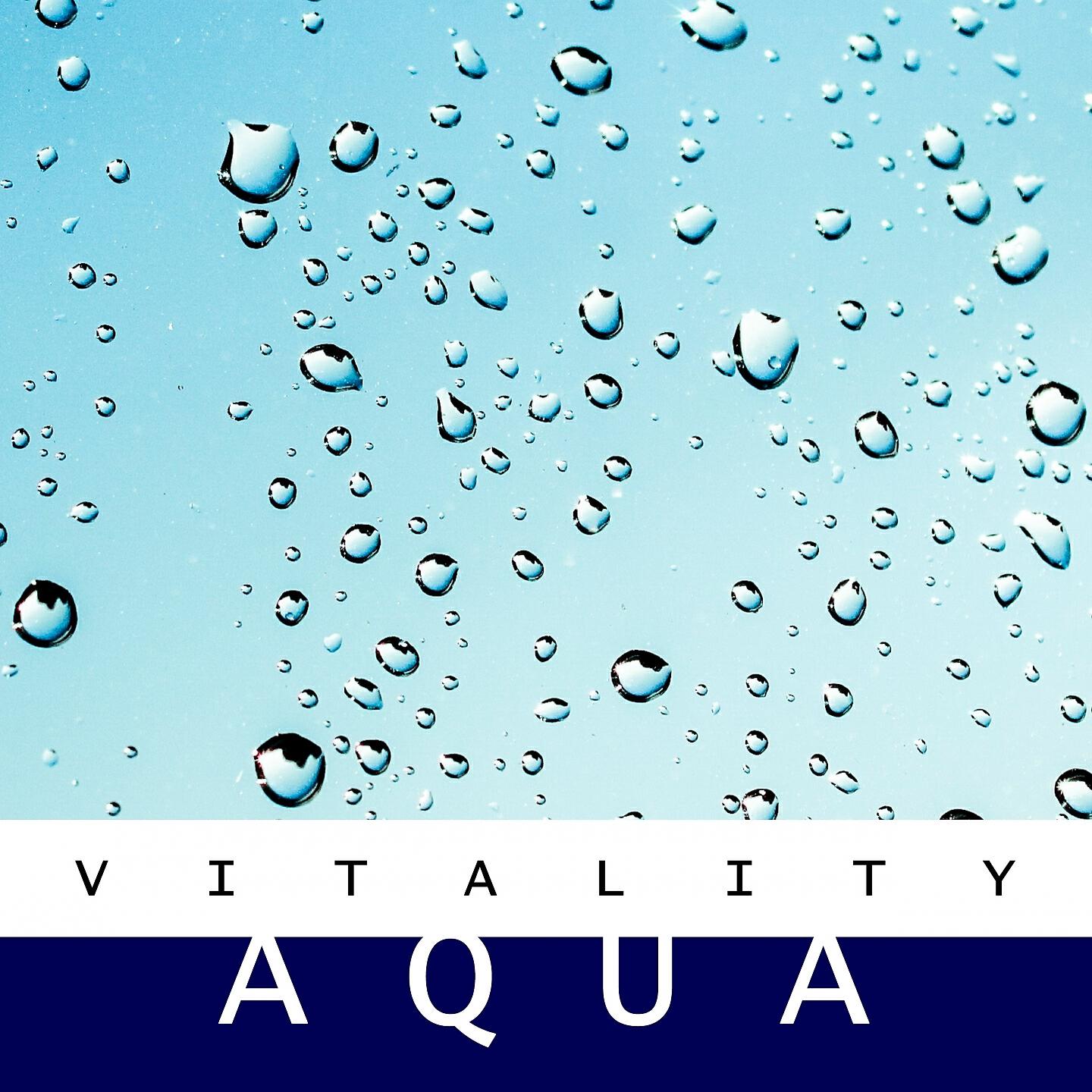Релиз Vitality