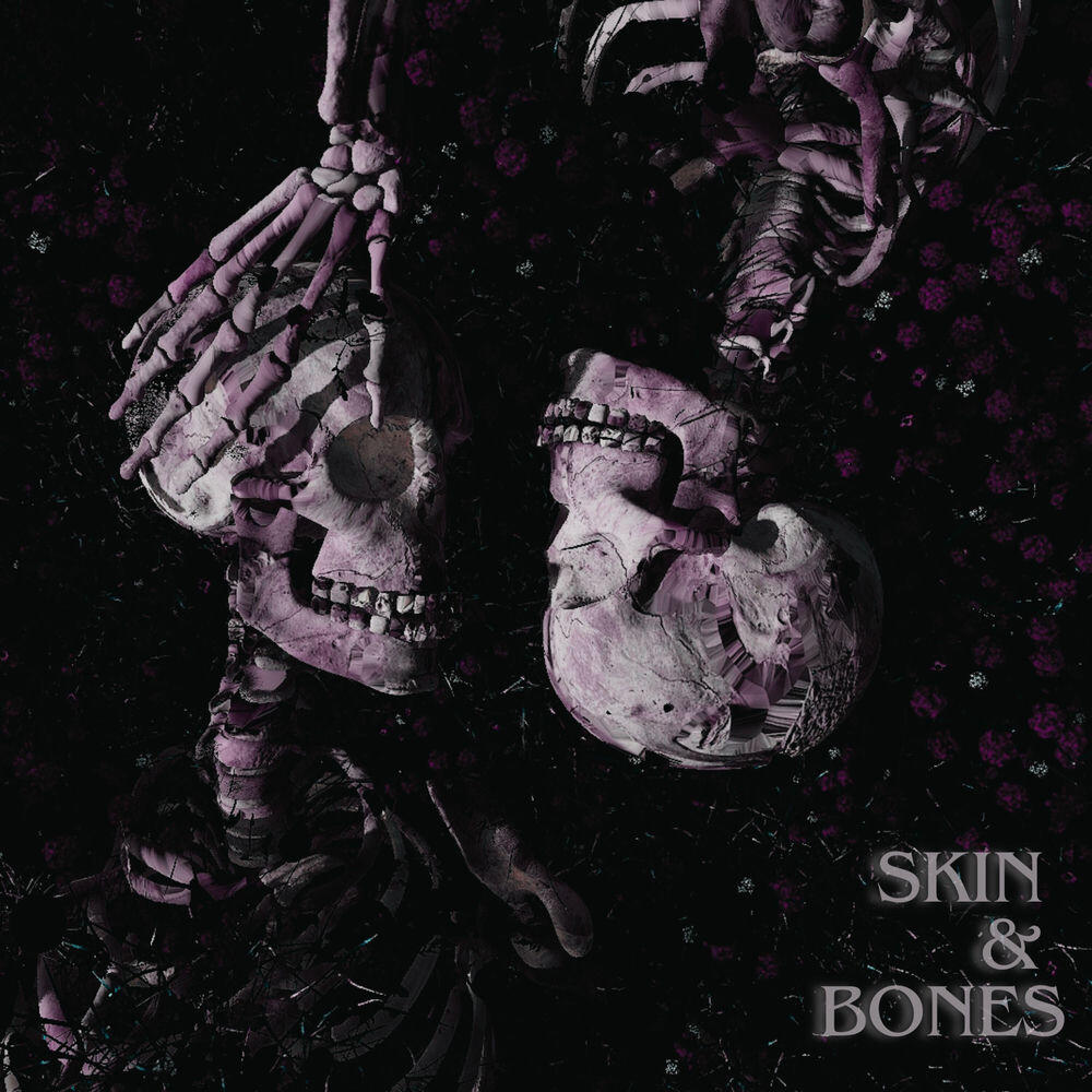 Релиз Skin & Bones
